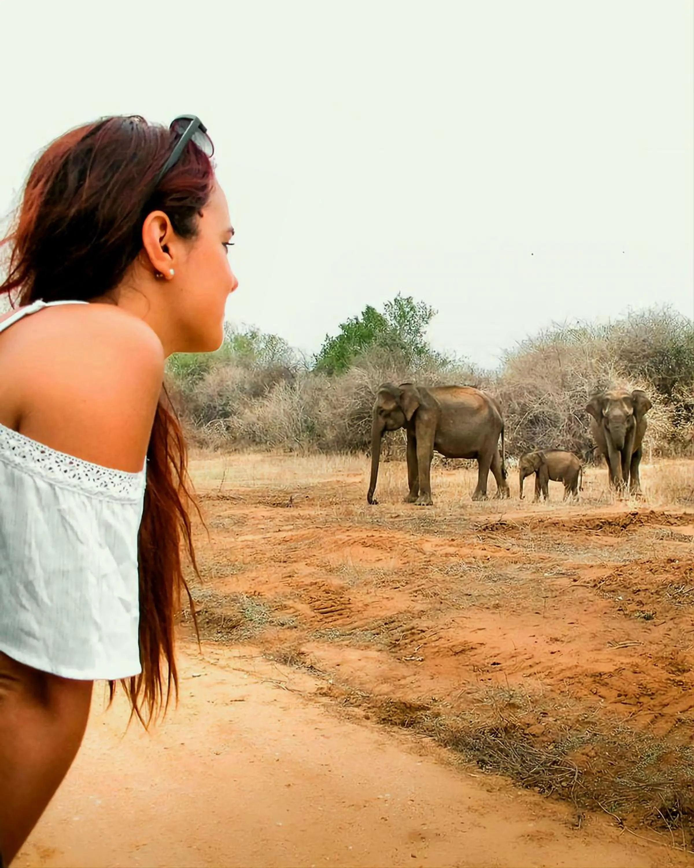 Animals in Lakmal Resort Sigiriya