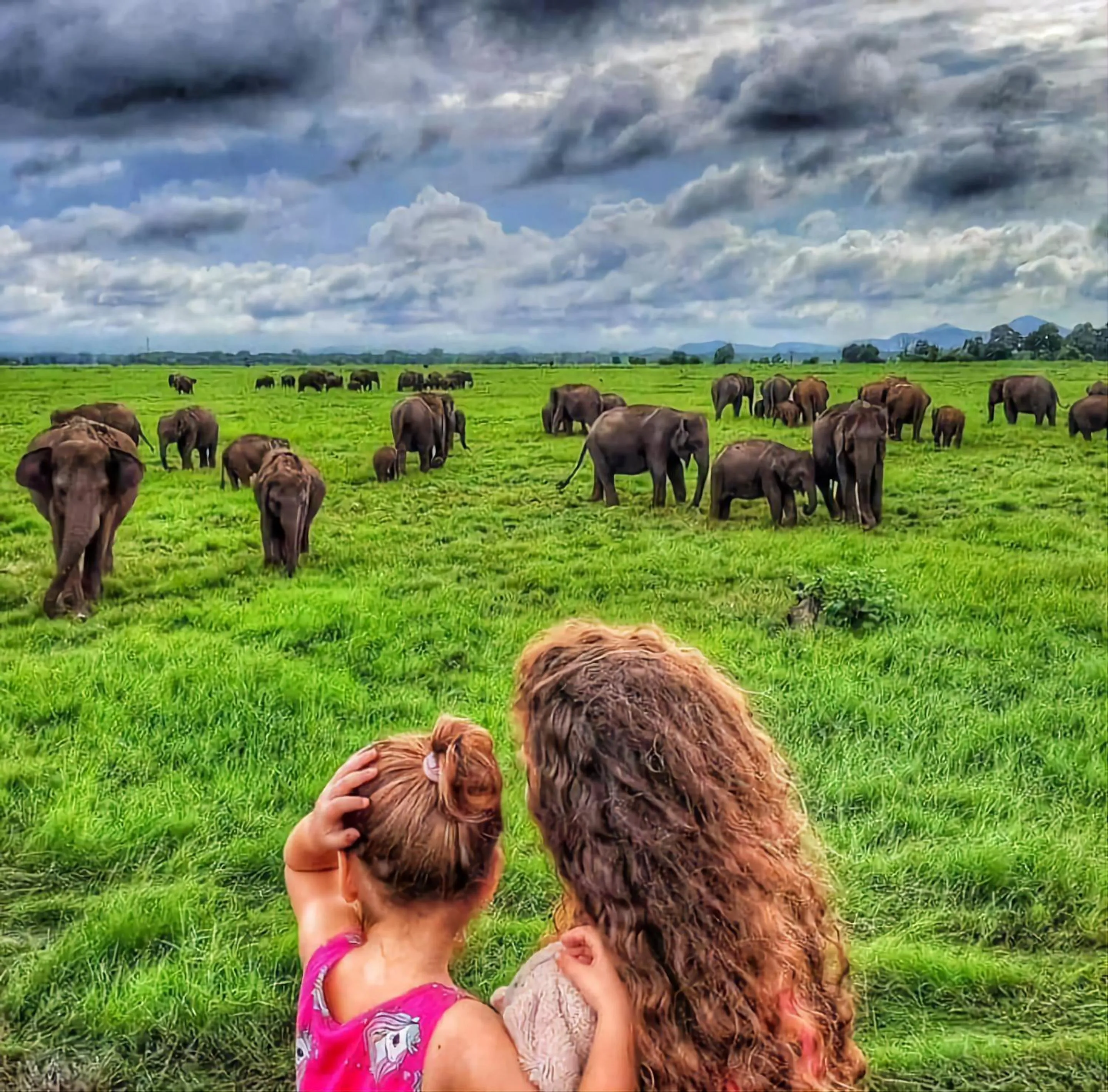 Day in Lakmal Resort Sigiriya