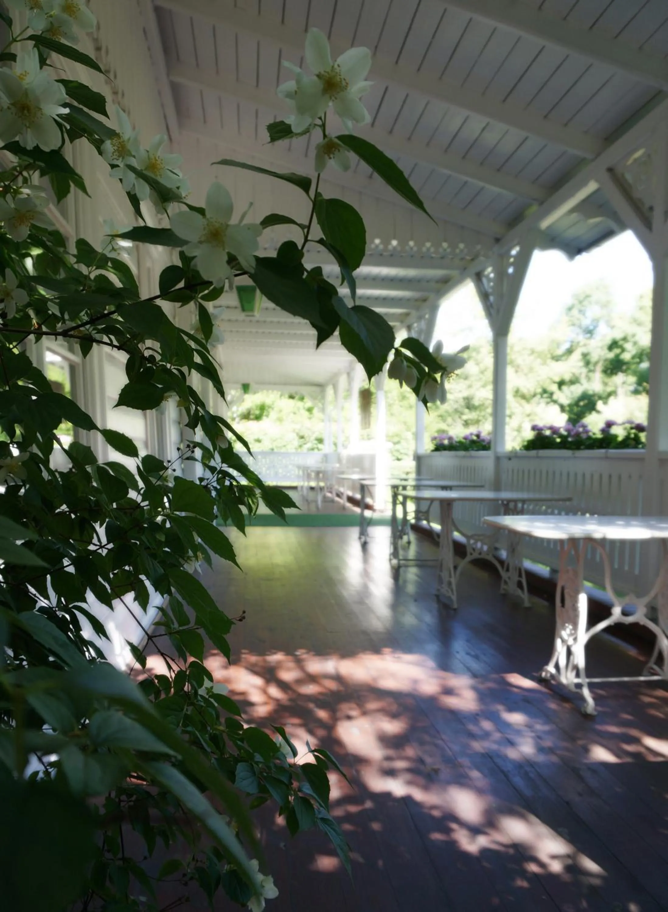 Balcony/Terrace in Dworek Aleksandria