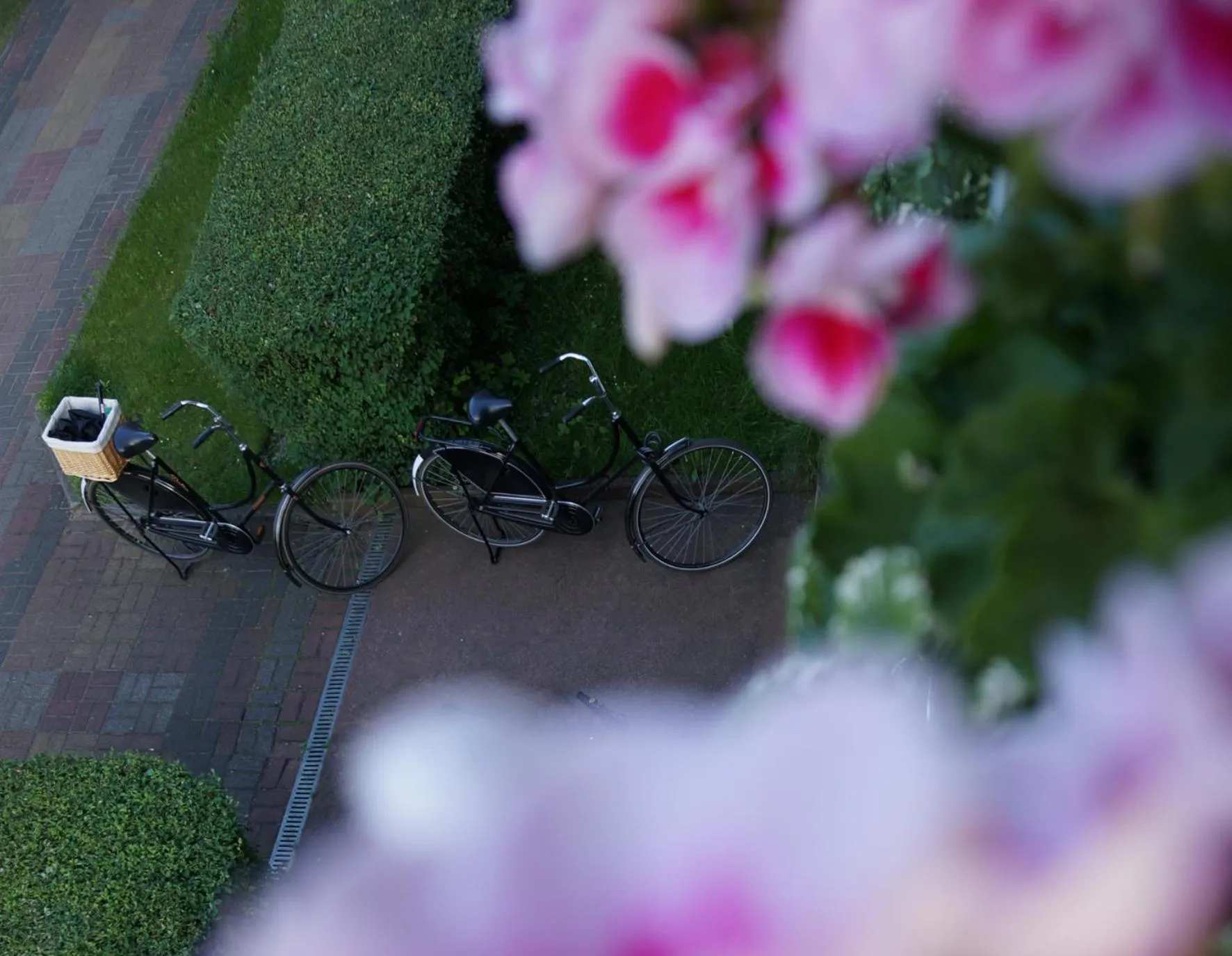 Cycling in Dworek Aleksandria