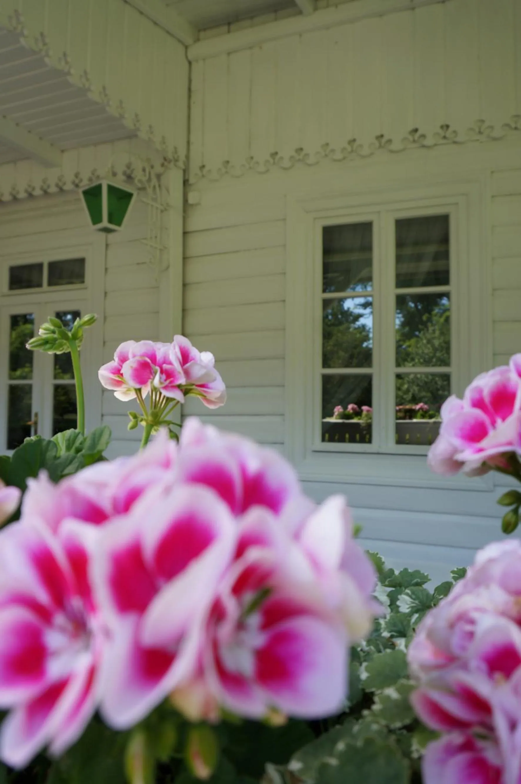 Balcony/Terrace in Dworek Aleksandria