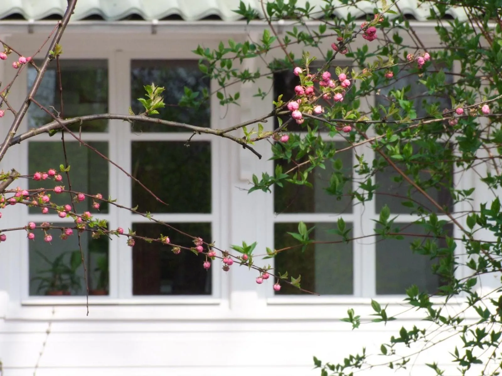 Natural landscape in Dworek Aleksandria