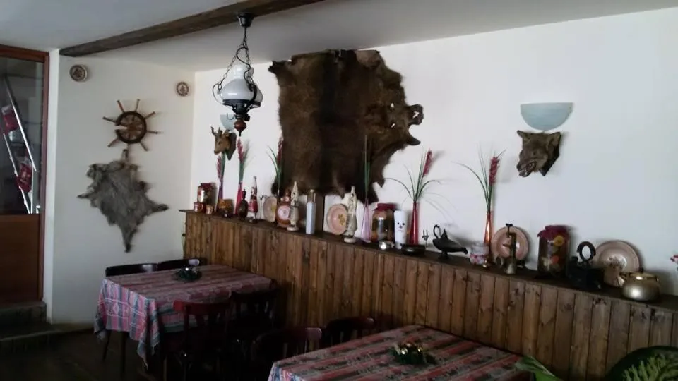 Property building in Hanu lu Mos Opinca