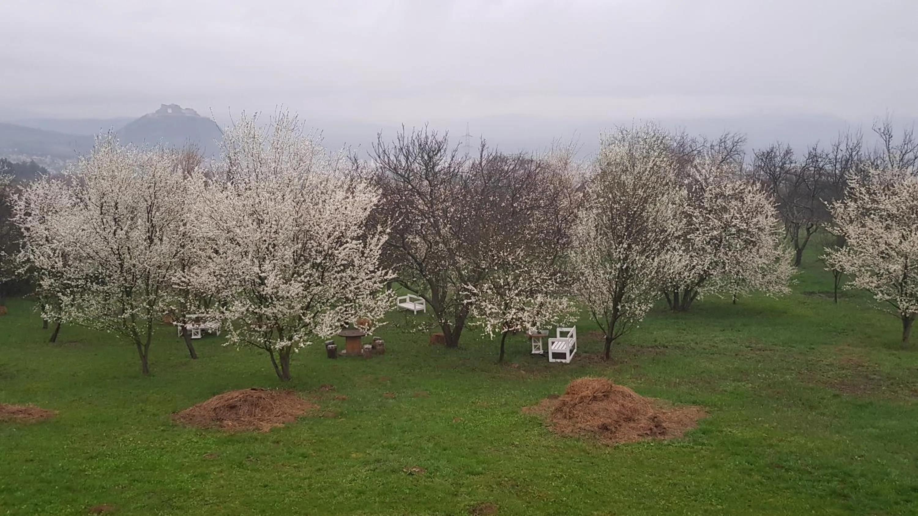 Garden in Hanu lu Mos Opinca