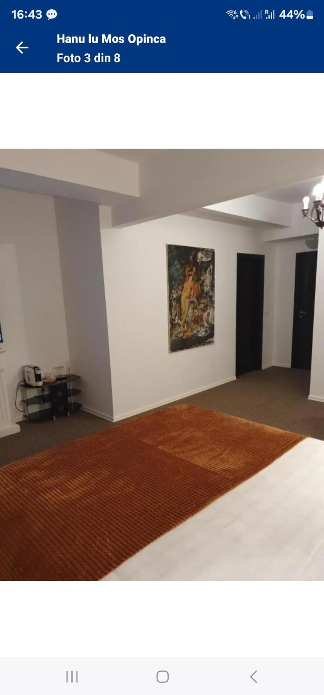 Bed in Hanu lu Mos Opinca