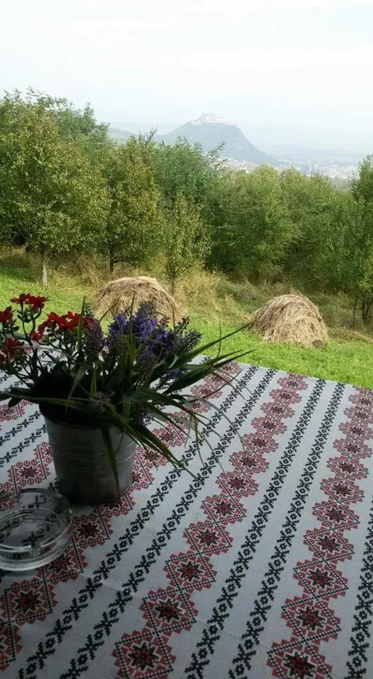 Property building in Hanu lu Mos Opinca