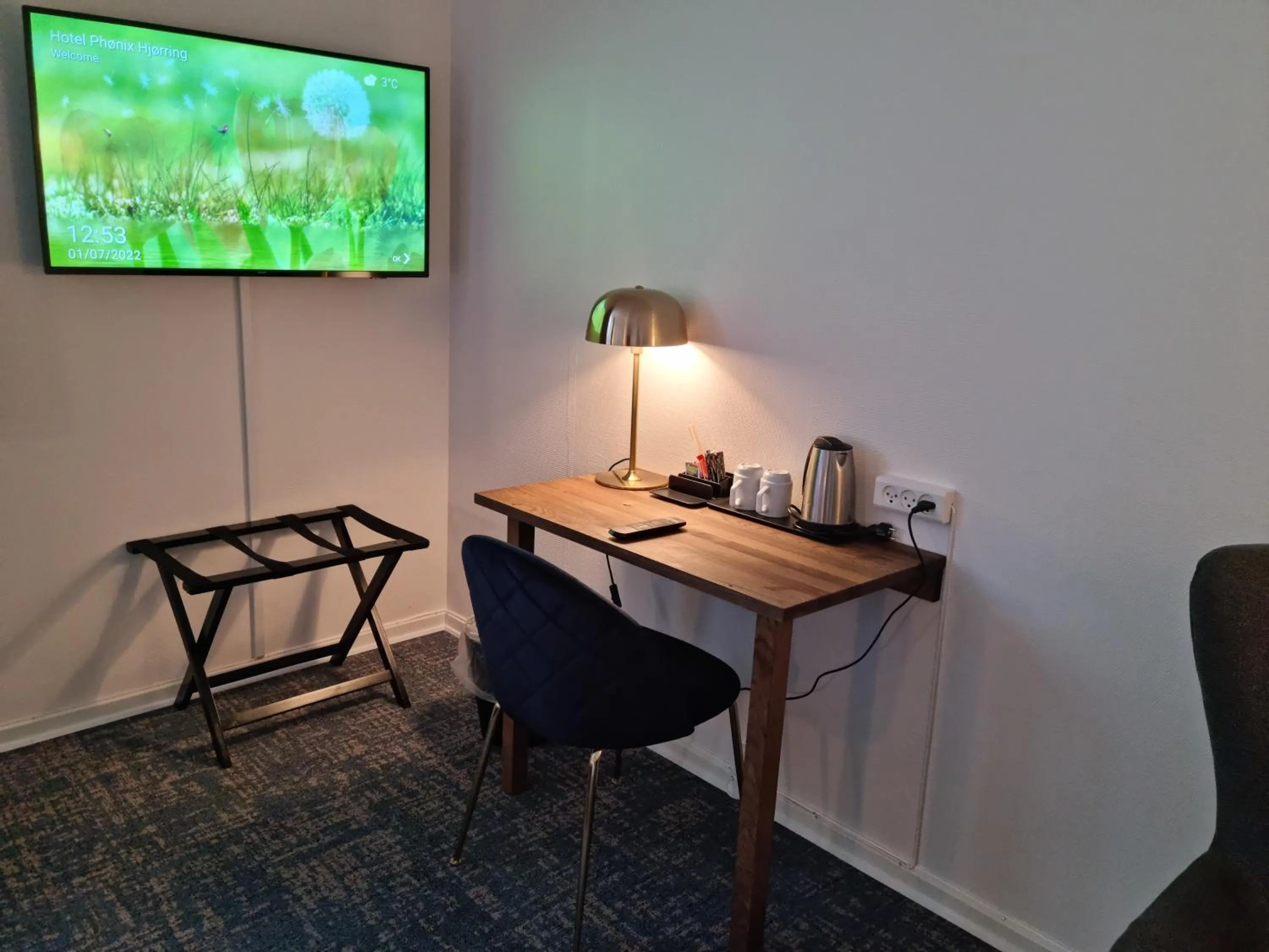 TV and multimedia in Hotel Phønix Hjørring