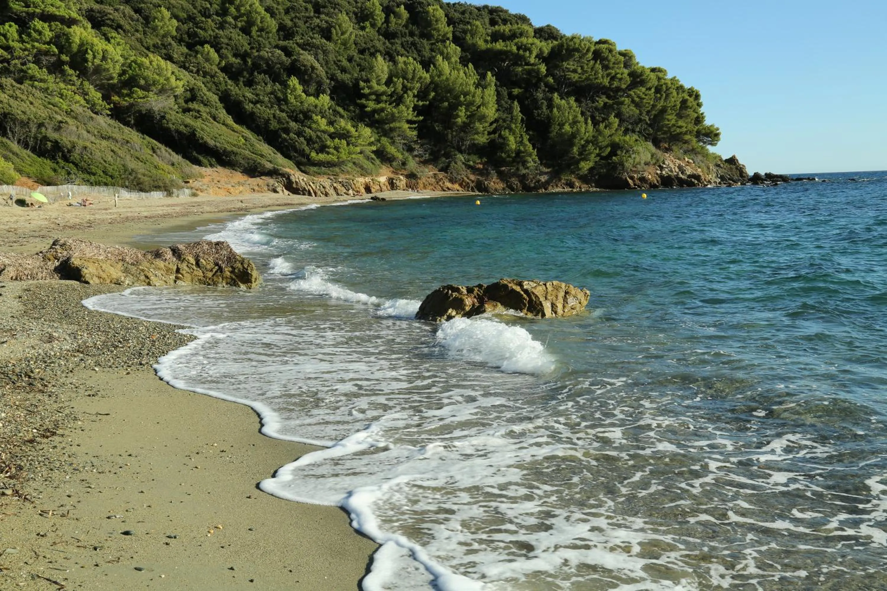 Location Corsica
