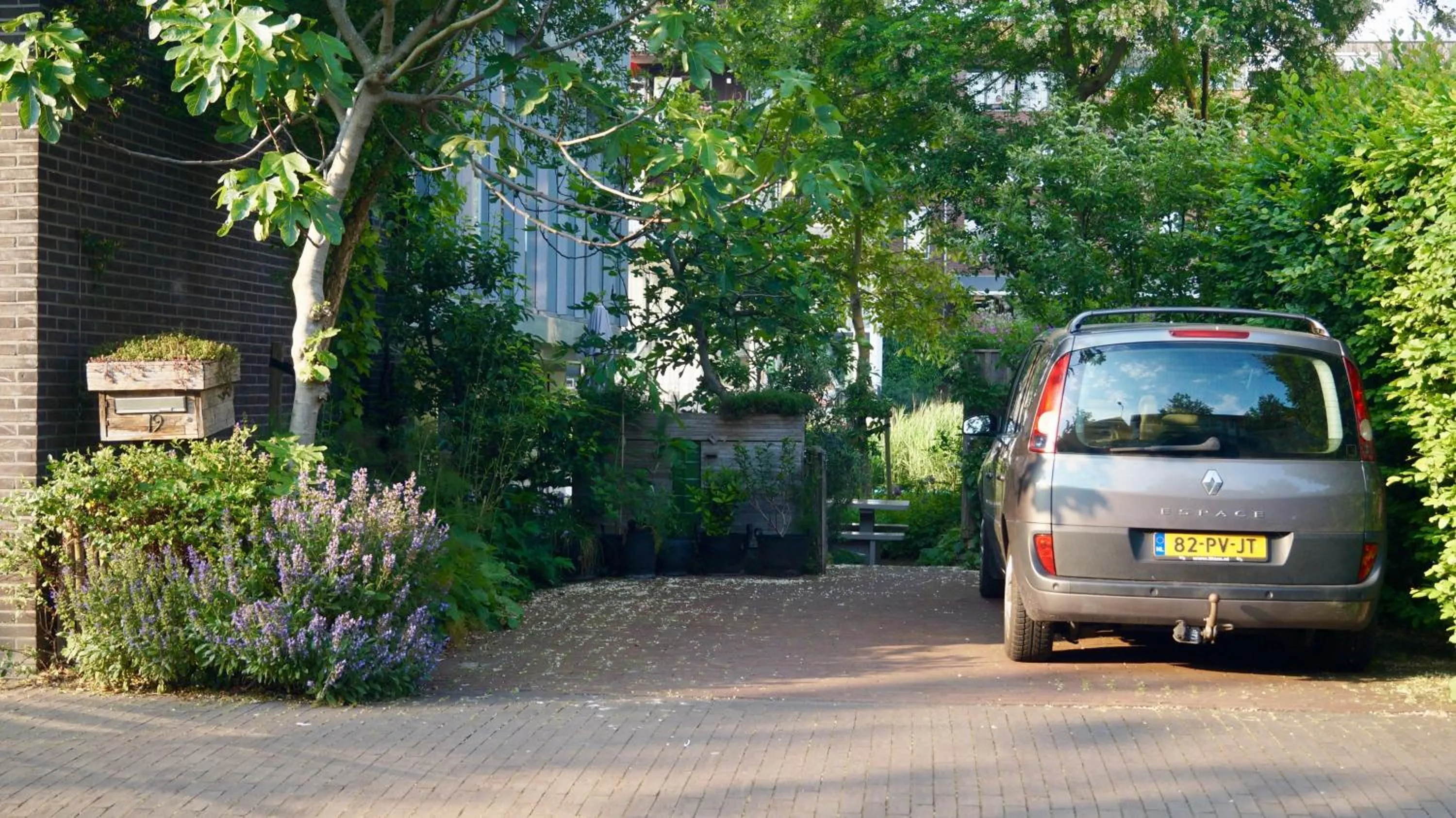 Property building in Room With A Few