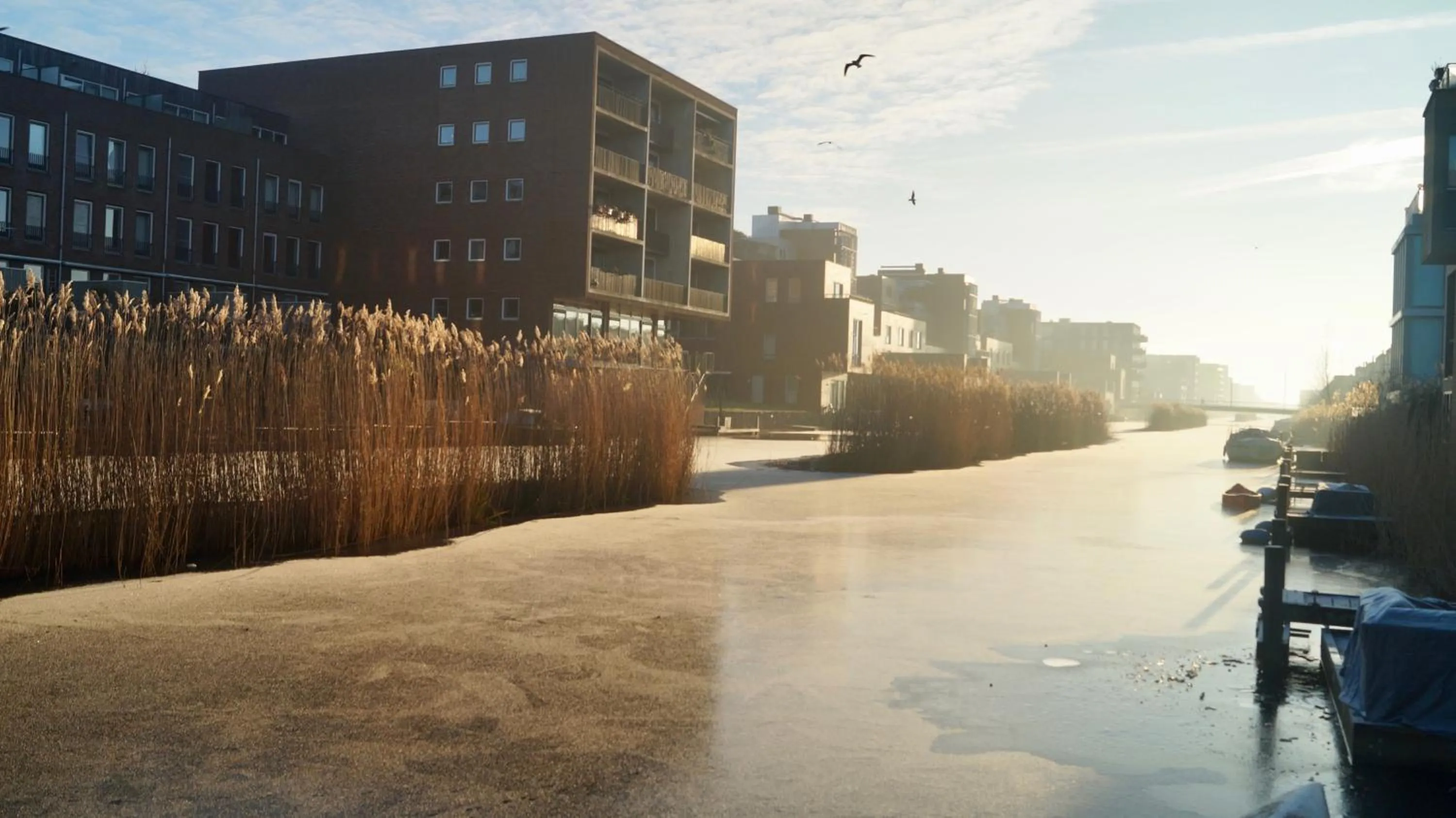 Property building in Room With A Few