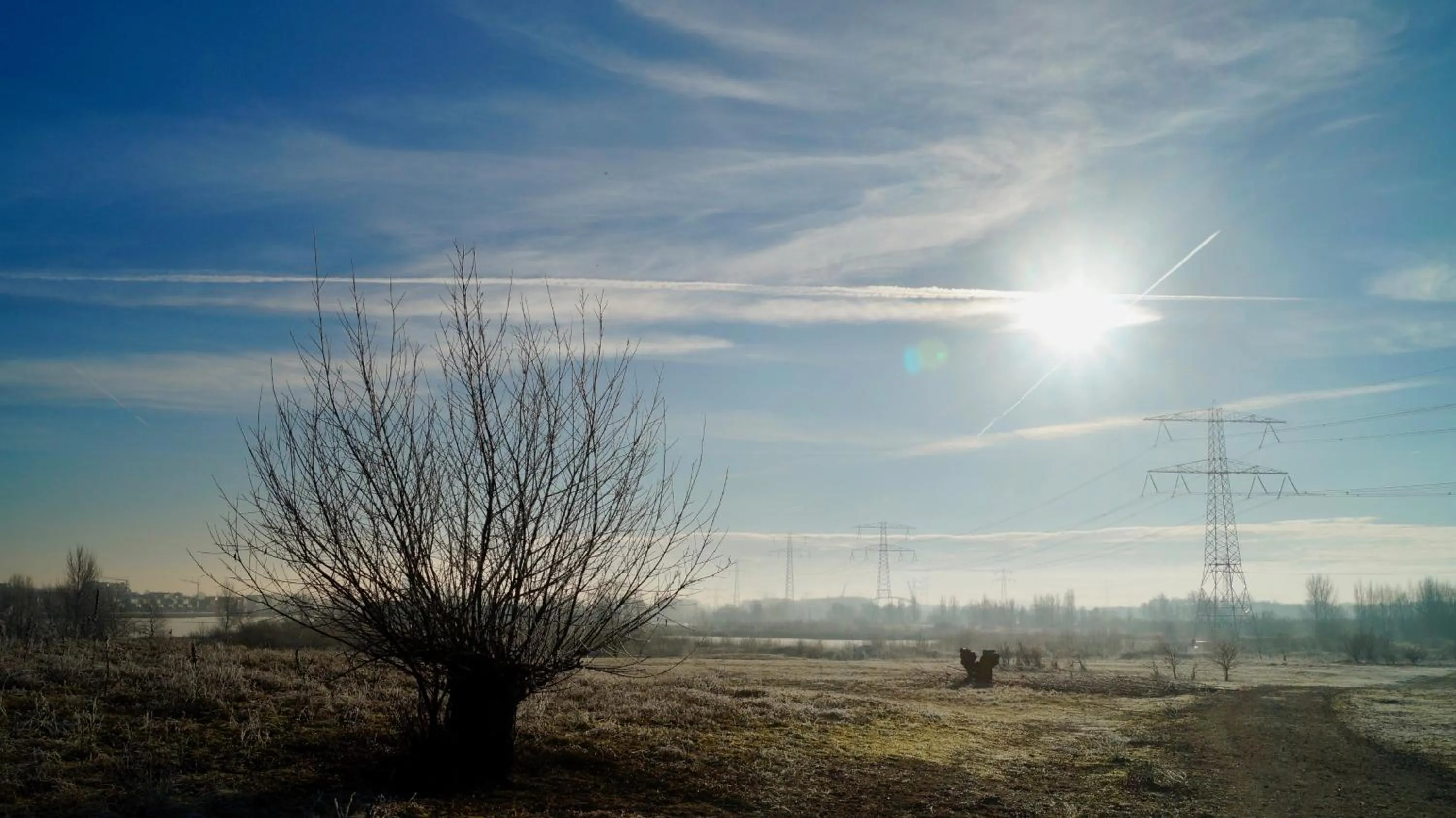 Natural landscape in Room With A Few