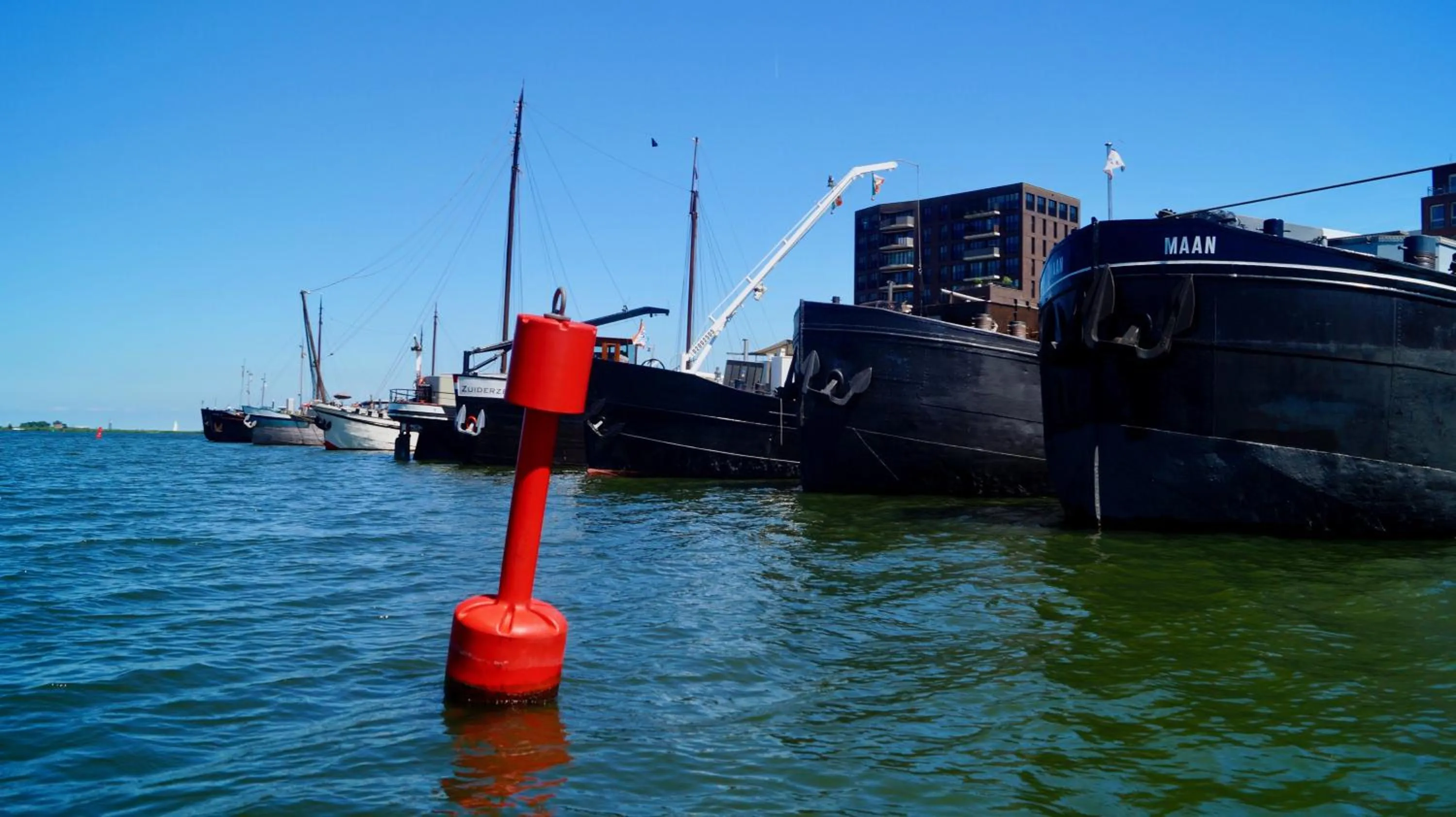 Other in Room With A Few