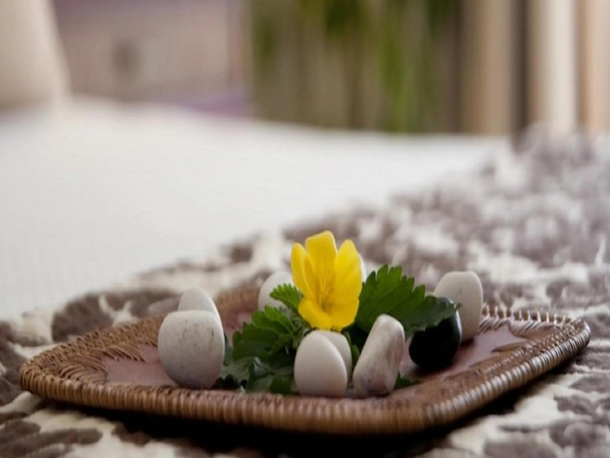 Decorative detail in Cofresi Palm Beach & Spa Resort - All Inclusive