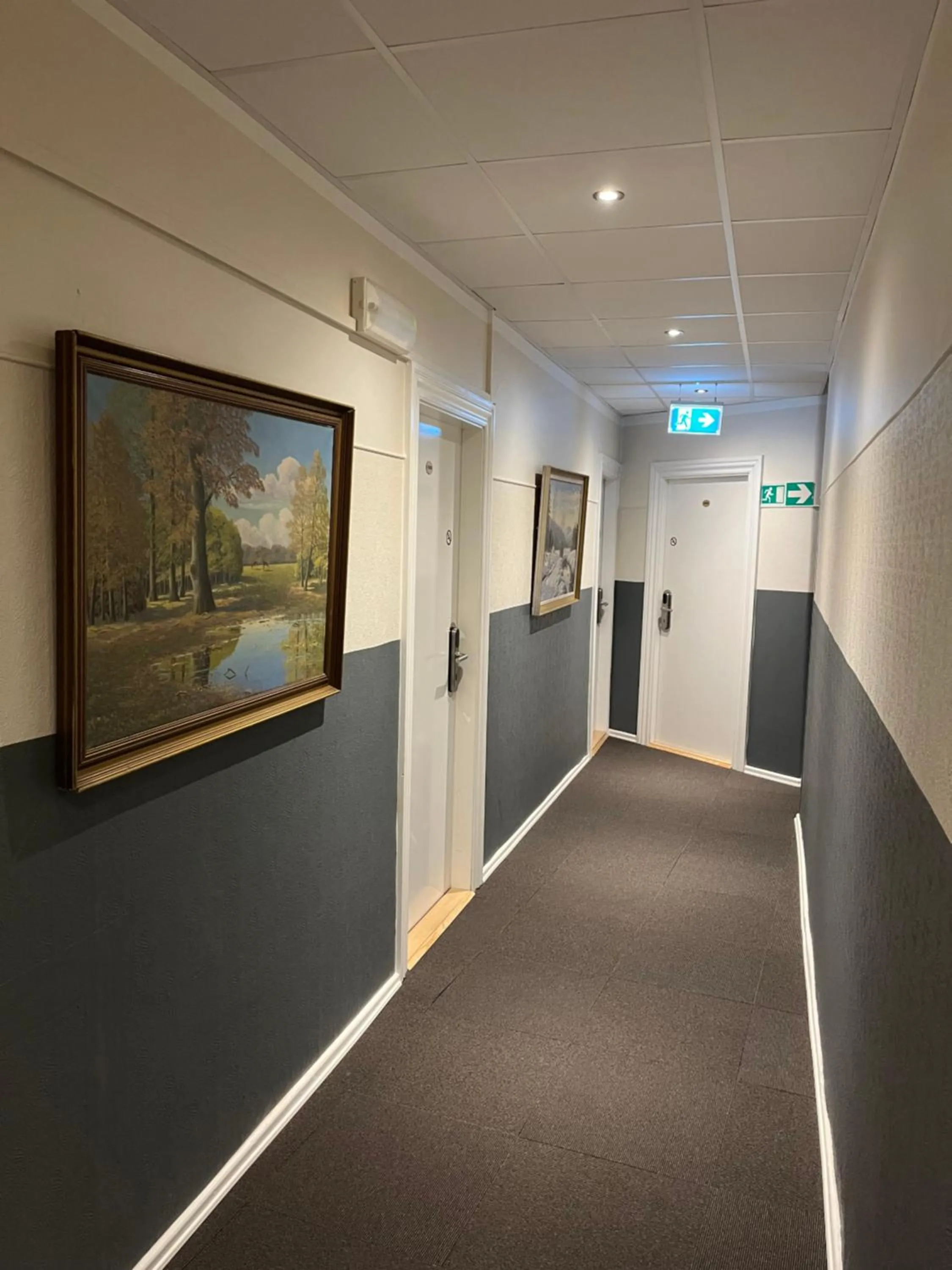 Area and facilities in Hotel Skandia