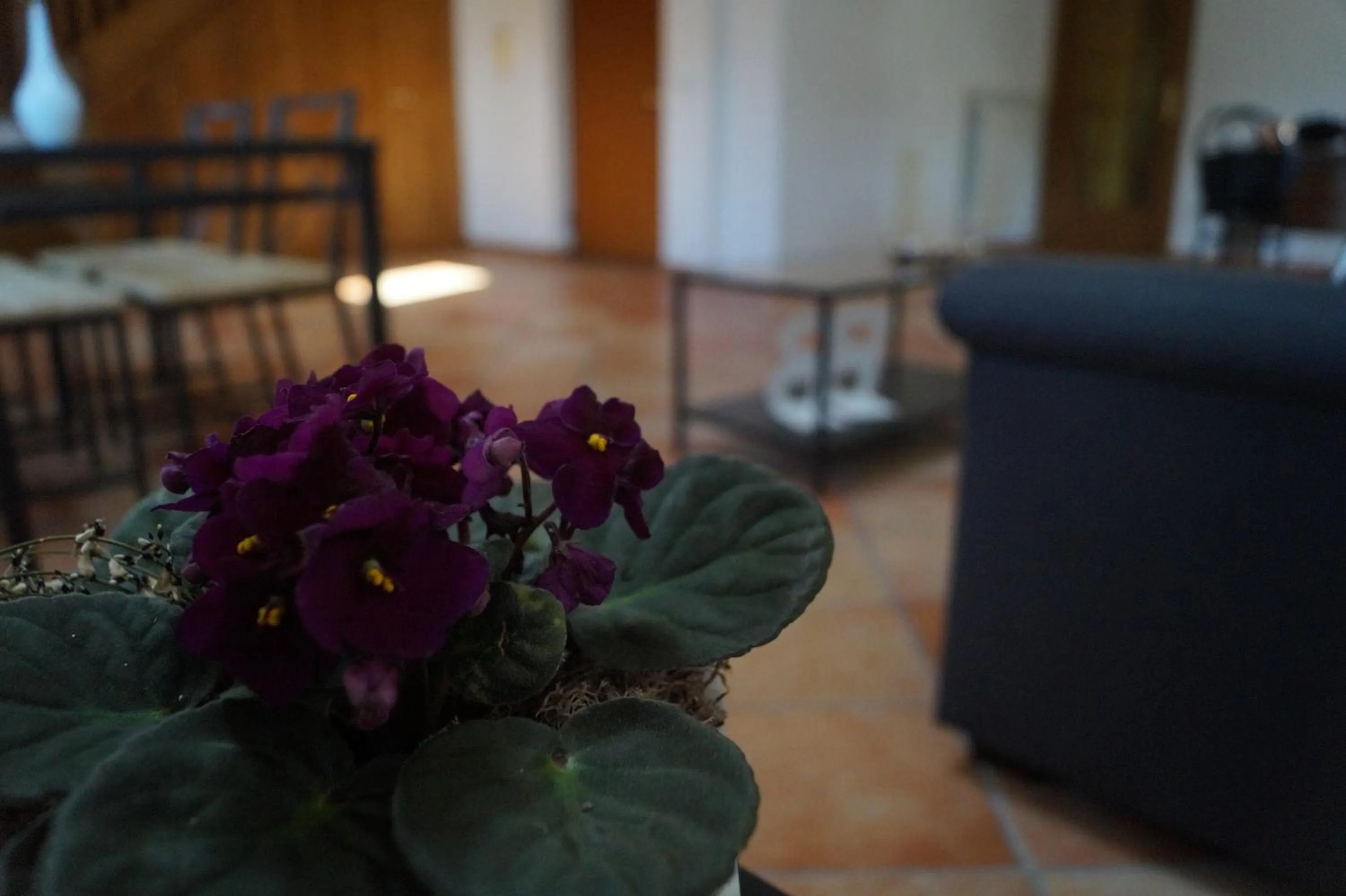 Communal lounge/ TV room in Bonjour Bonheur