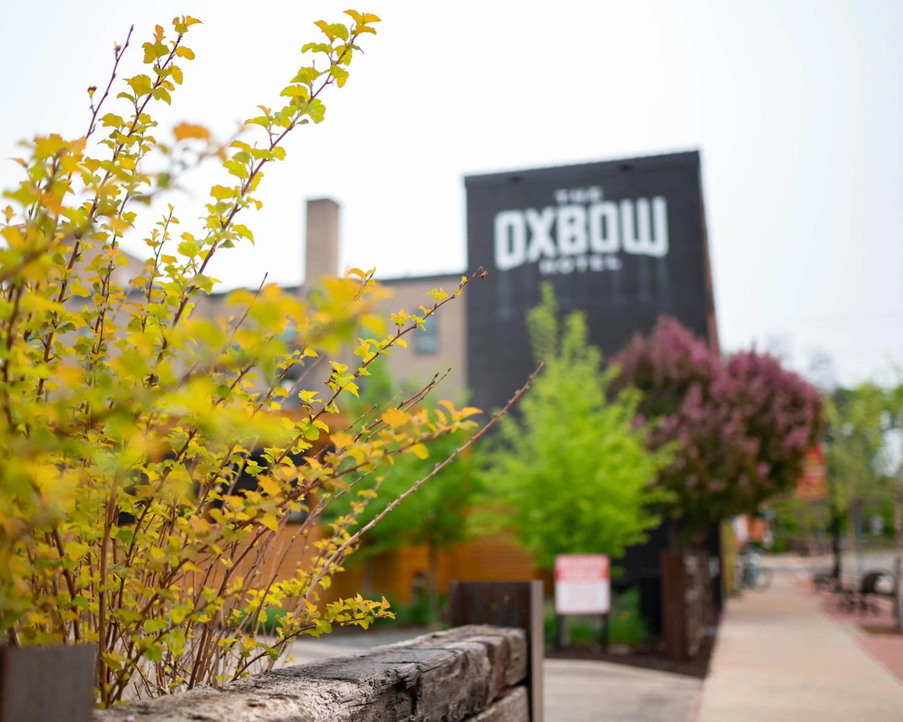 Property building in The Oxbow Hotel