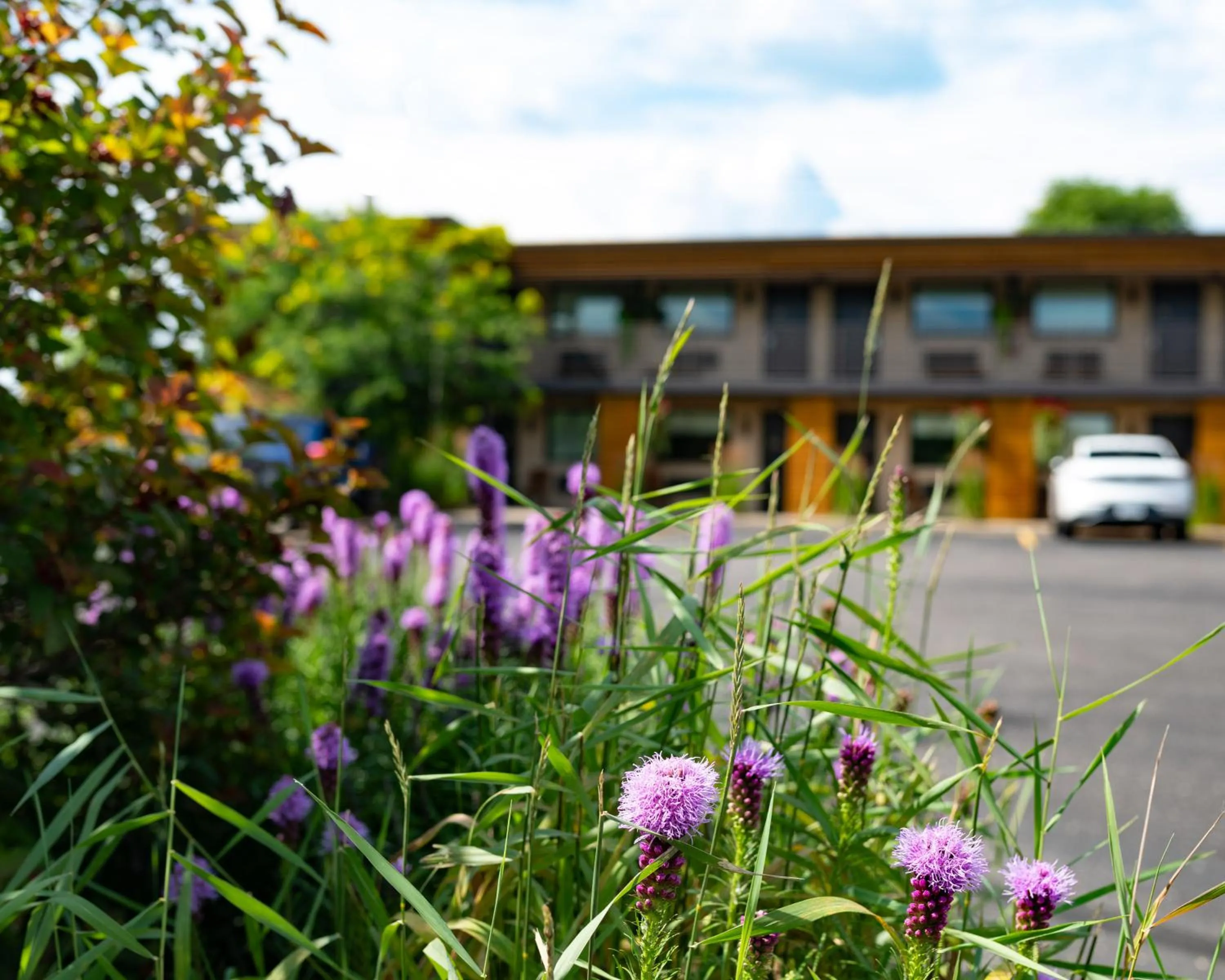 Property building in The Oxbow Hotel