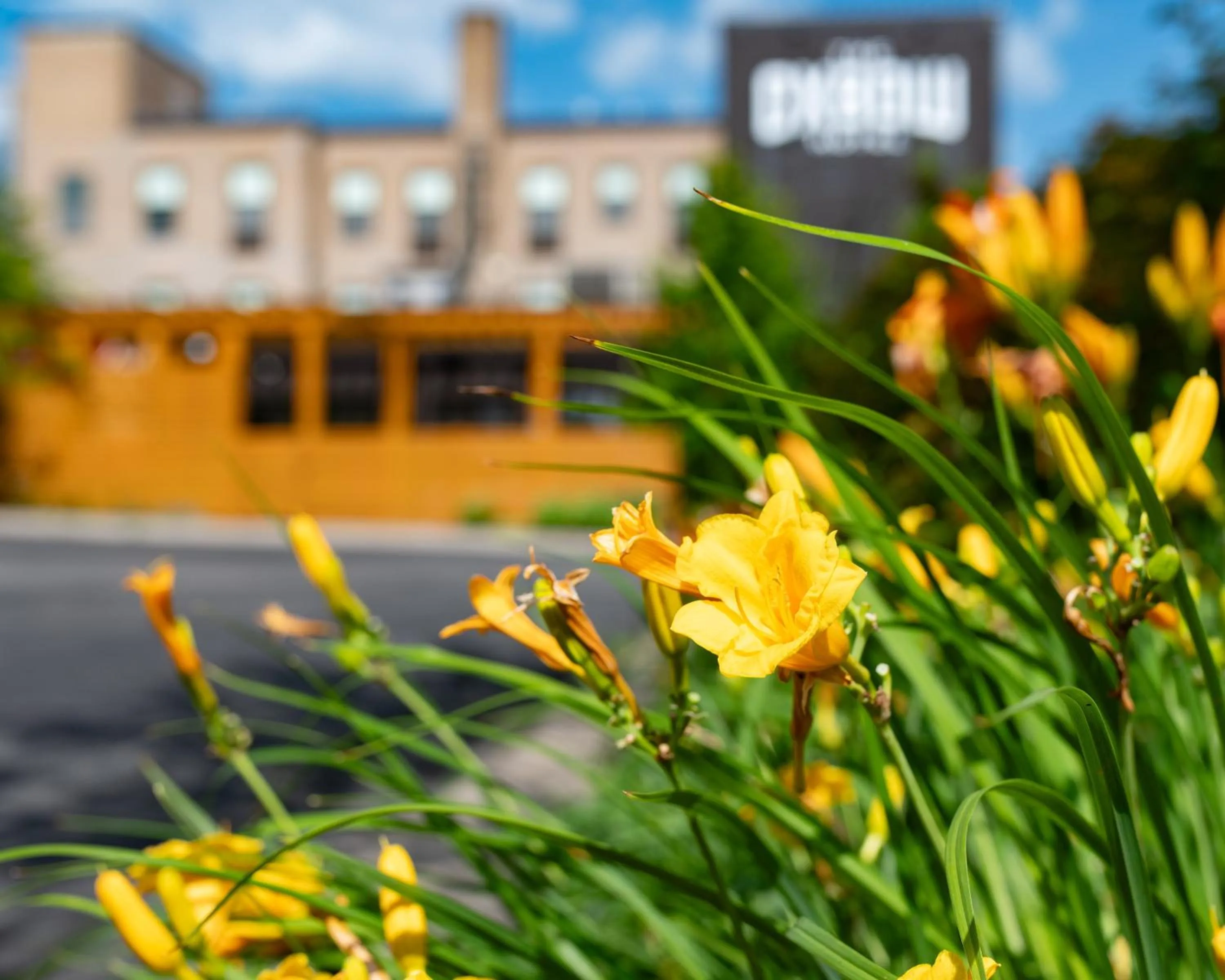 Property building in The Oxbow Hotel