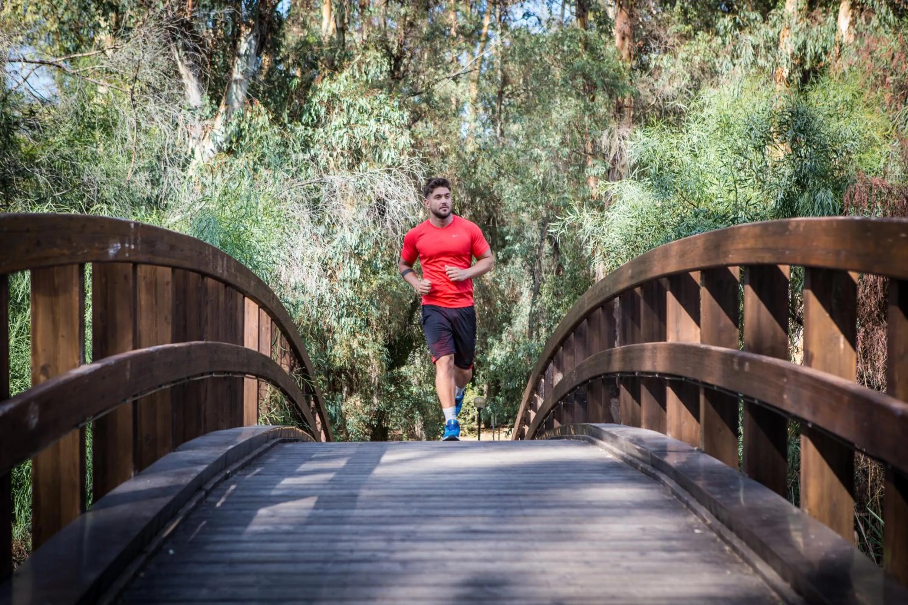 Activities in Hotel Flamingo