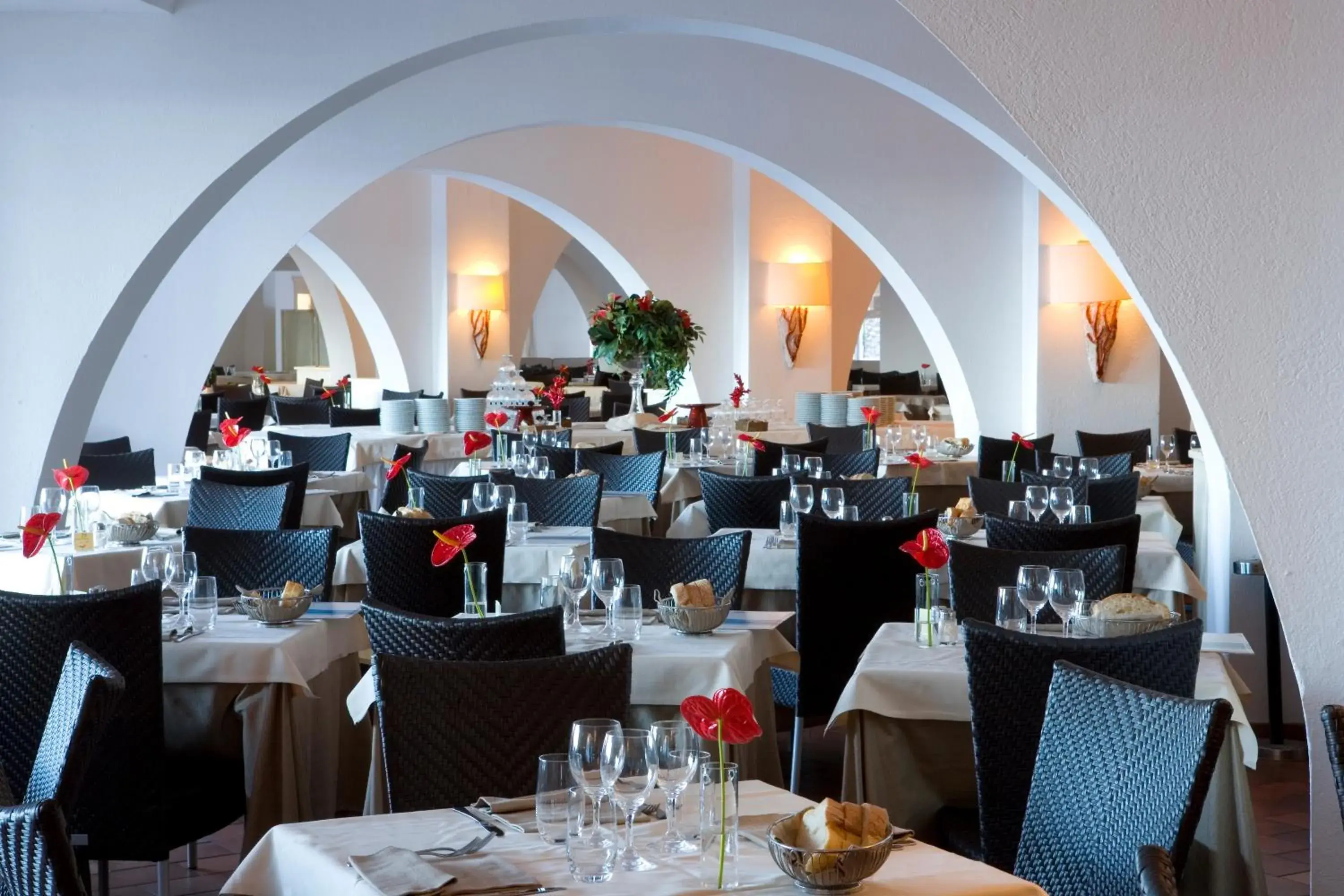 Restaurant/places to eat in Hotel Flamingo Restaurant/places to eat in Hotel Flamingo