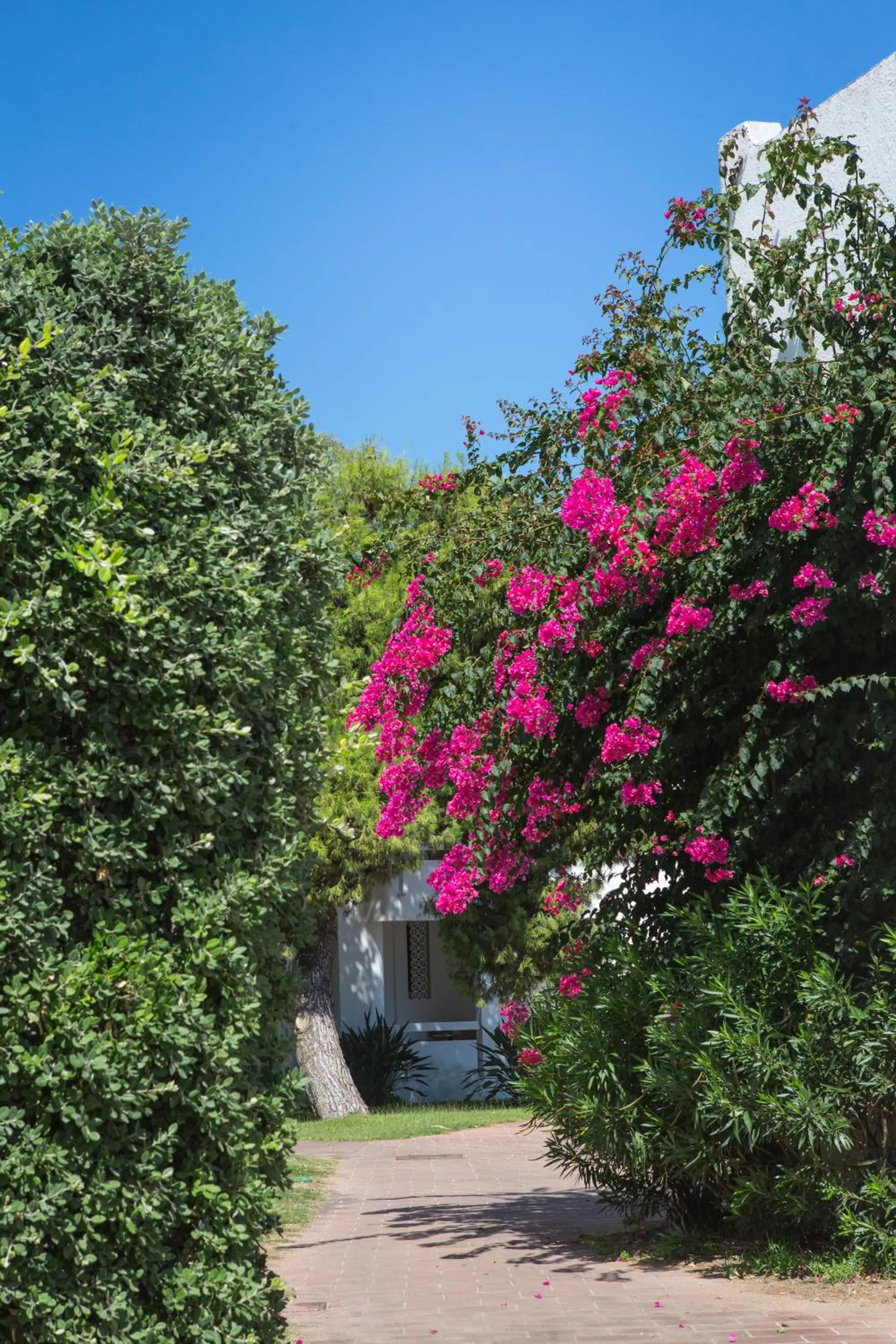 Garden view in Hotel Flamingo