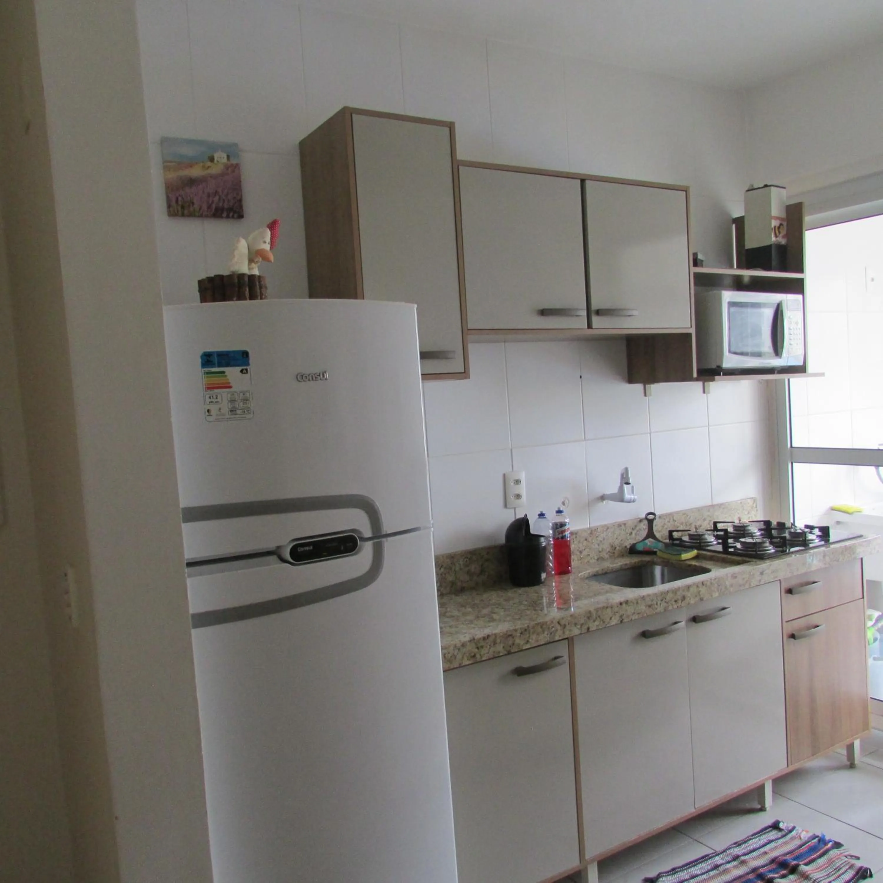 kitchen in Apartamento em Condominio na Penha