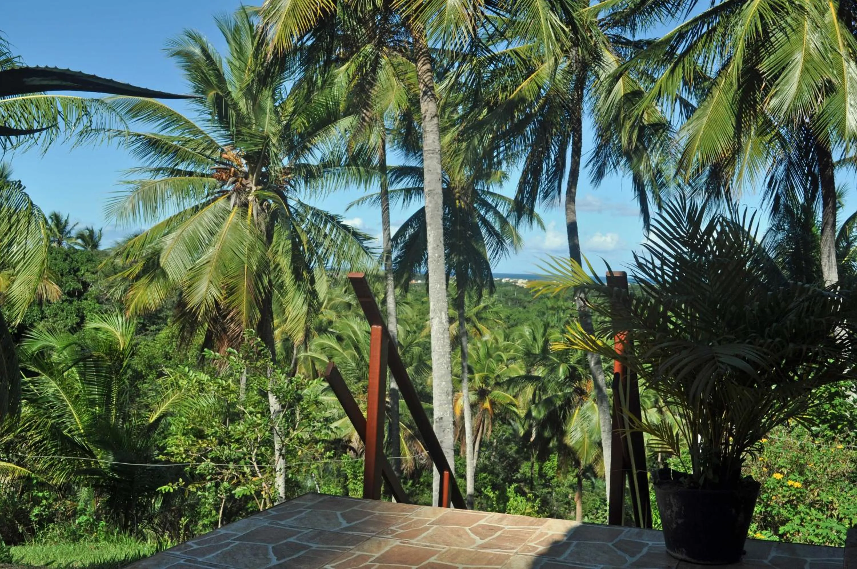 Garden view in Sitio Os Tres