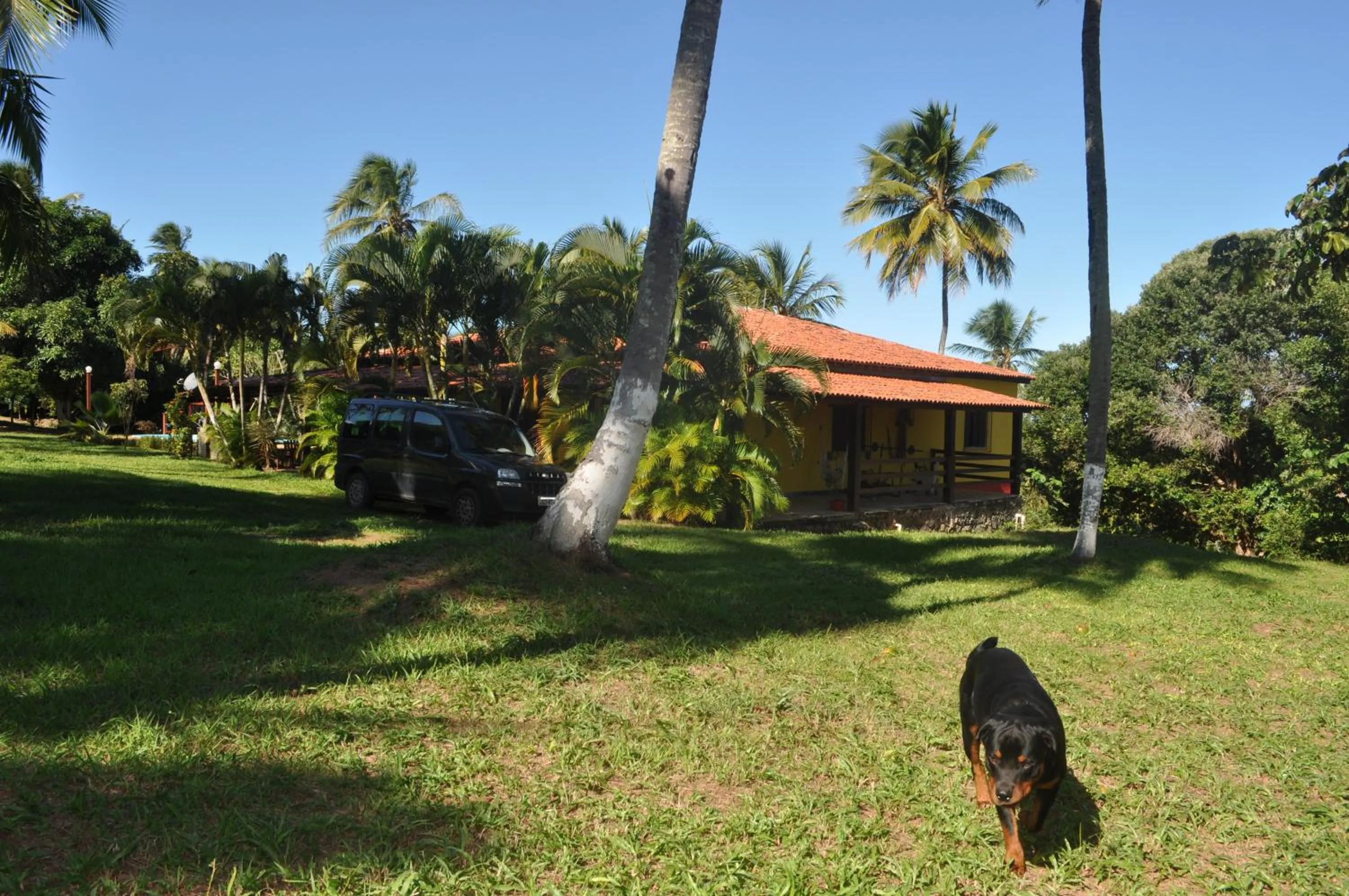 Pets in Sitio Os Tres