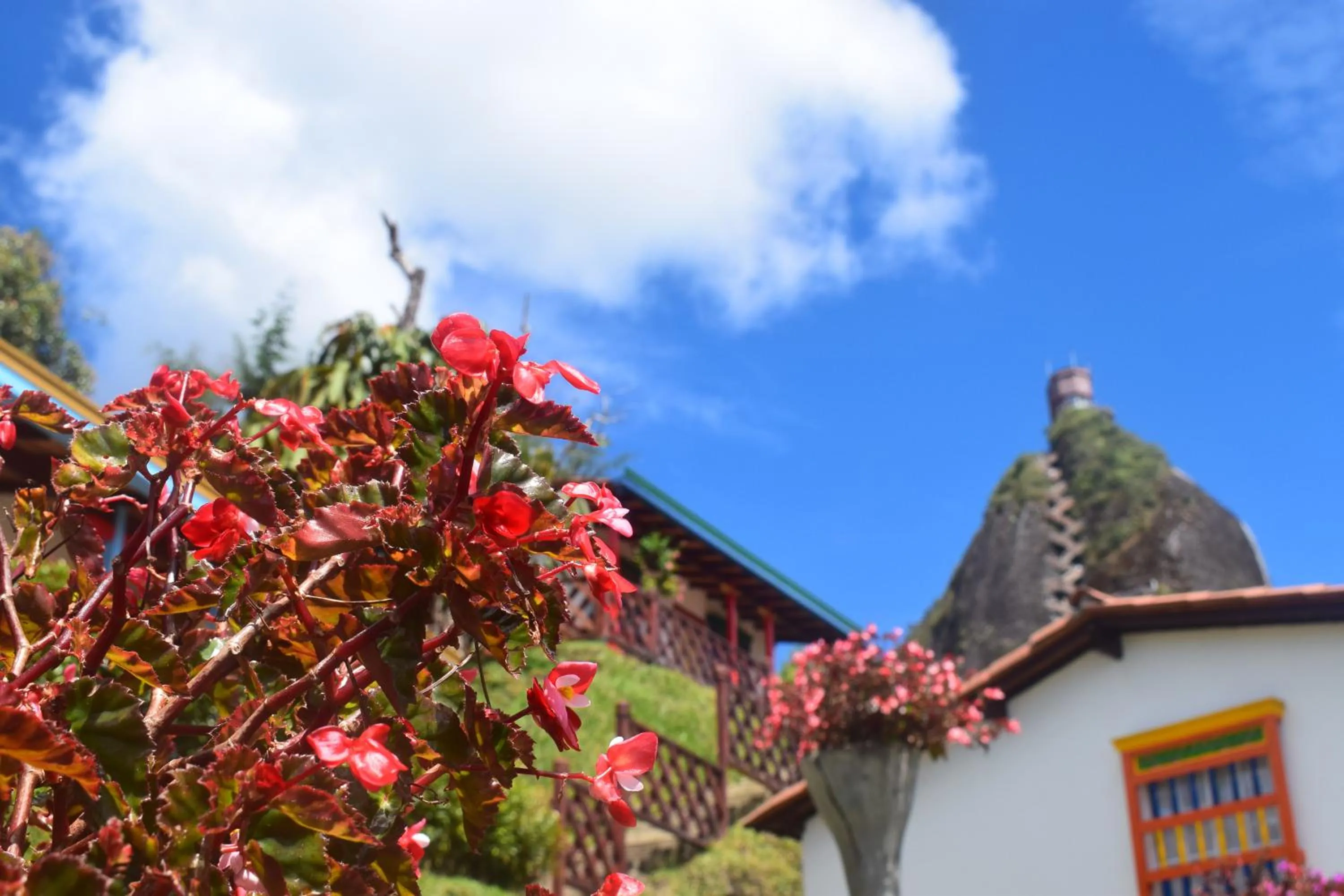 Property building in Hotel Zocalo Campestre