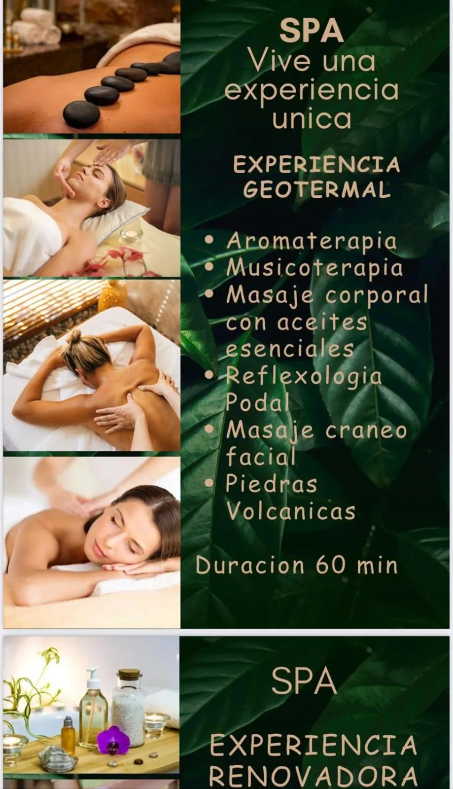 Spa and wellness centre/facilities in Hotel Zocalo Campestre