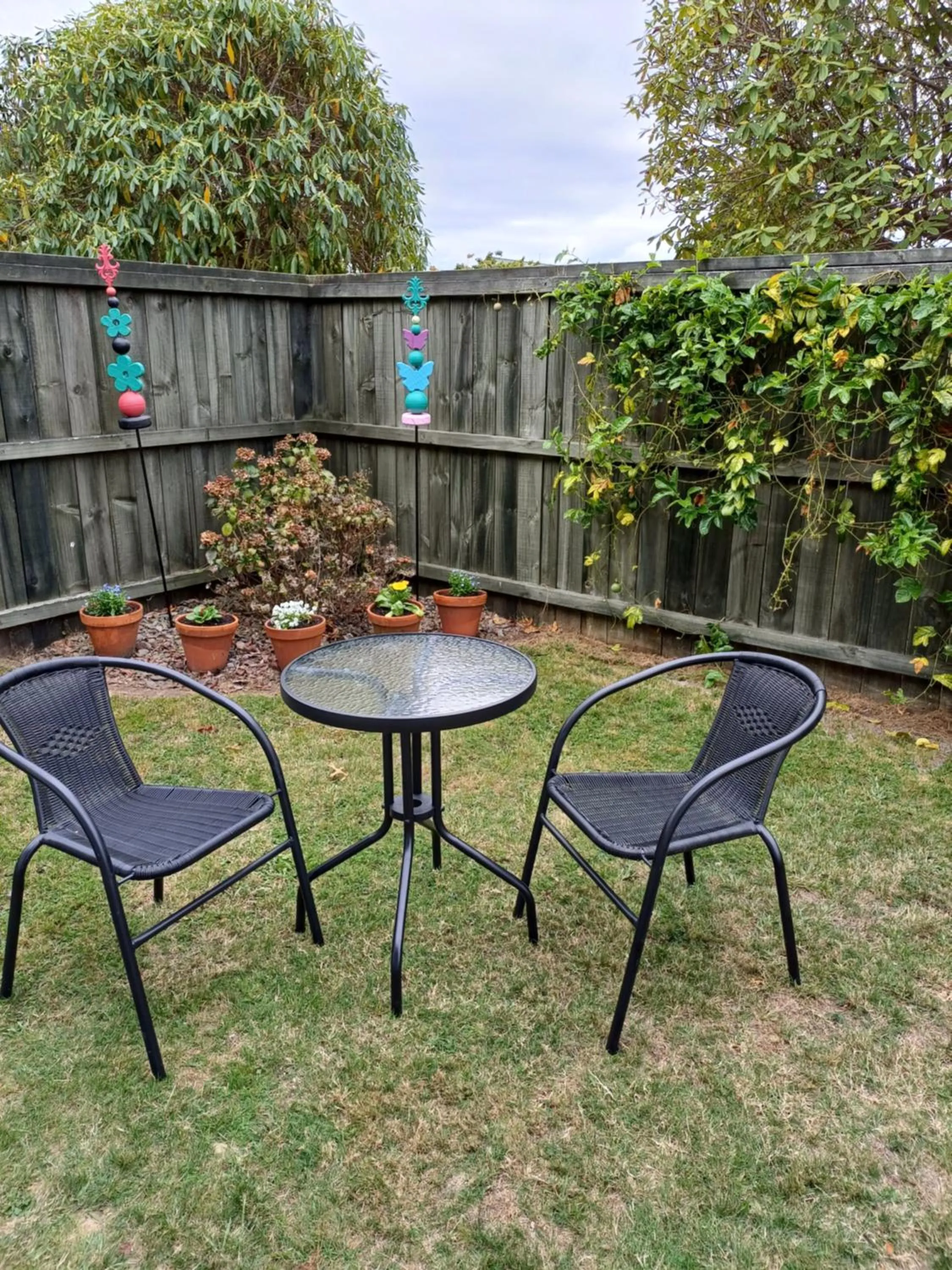 Garden view in Rotorua Studio