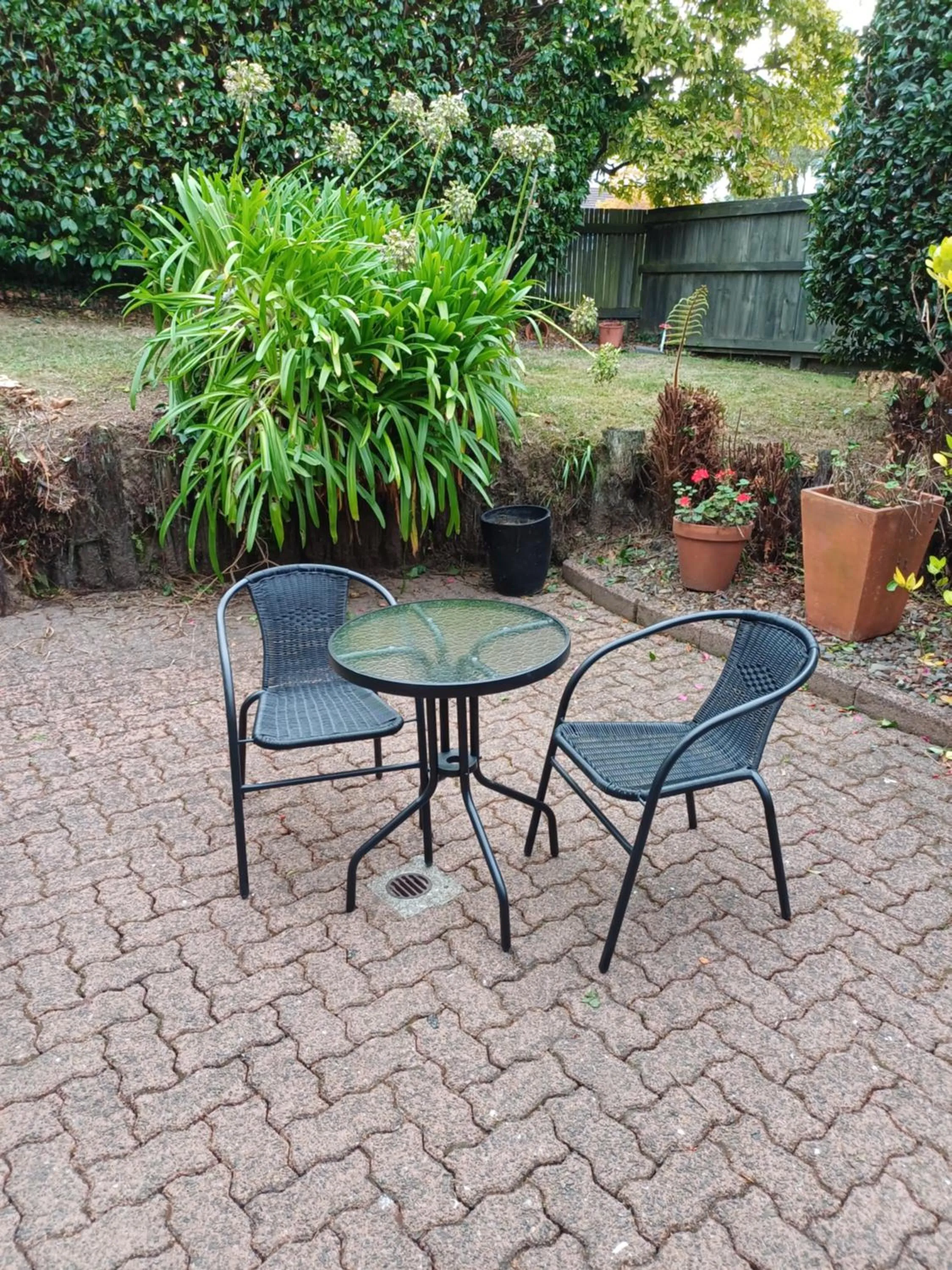 Garden in Rotorua Studio