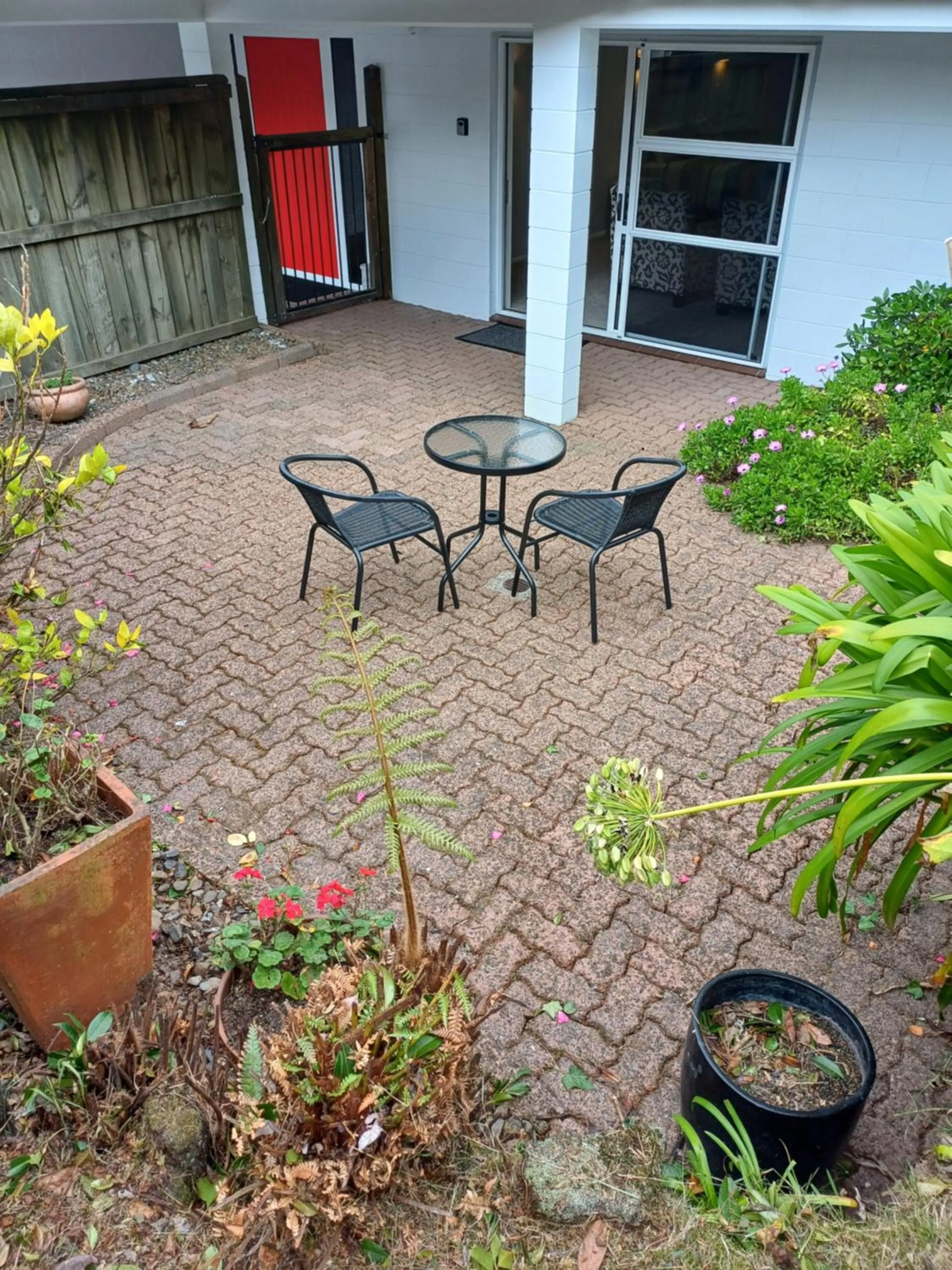 Garden in Rotorua Studio