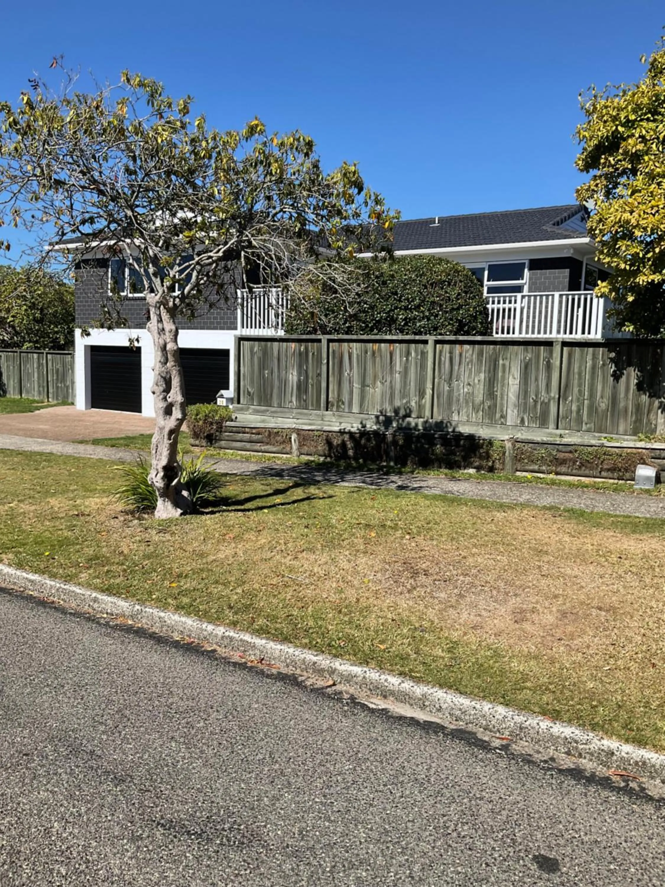 Property building in Rotorua Studio