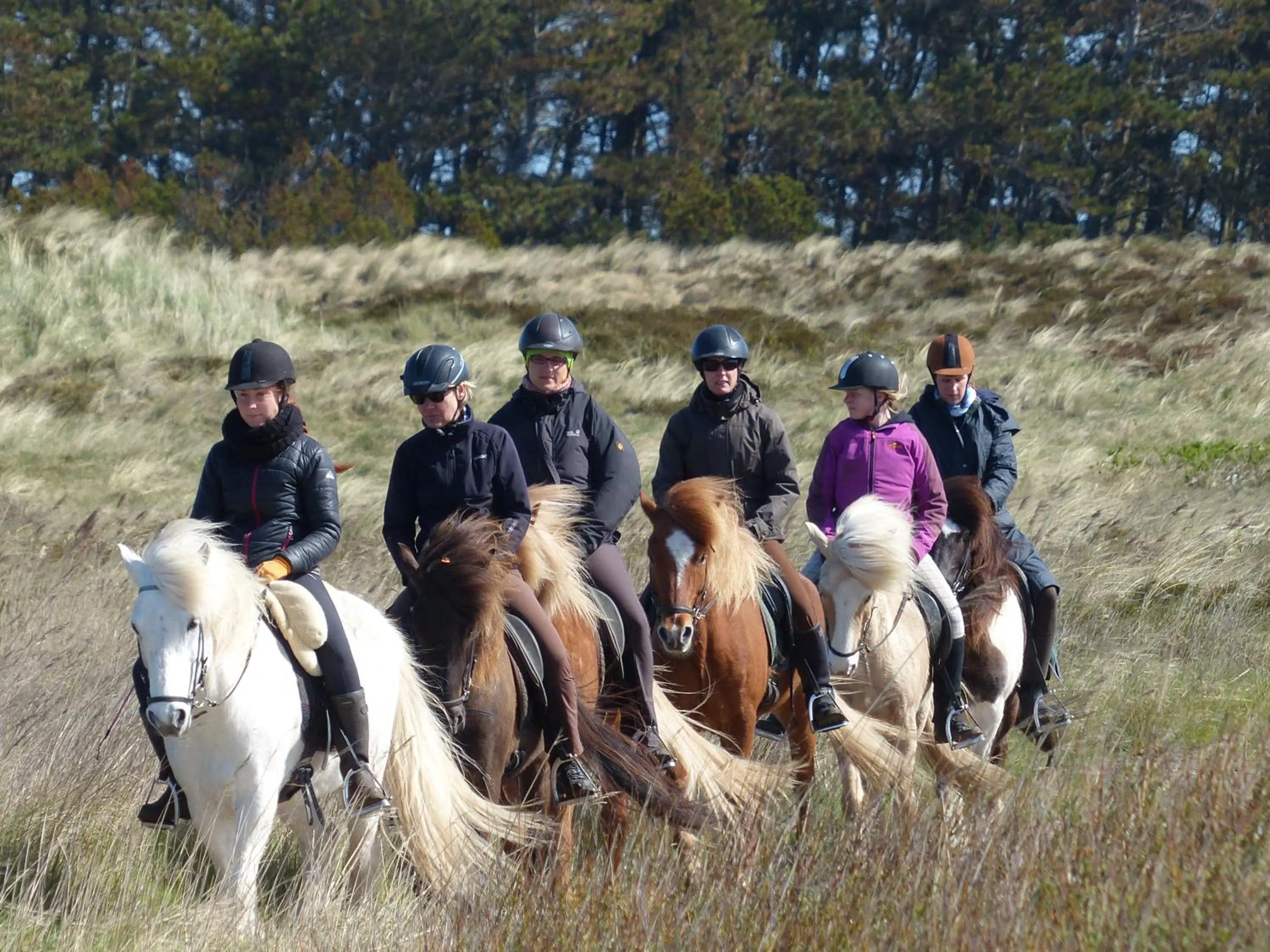 Hotel Kommandørgården