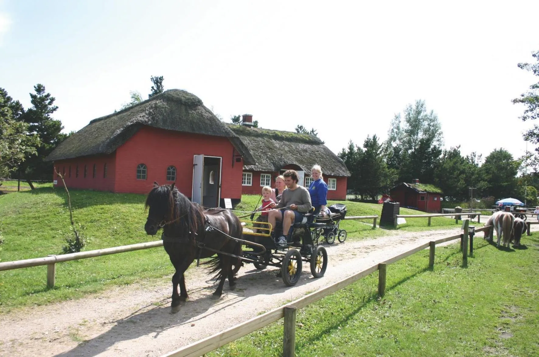 Horse-riding in Hotel Kommandørgården