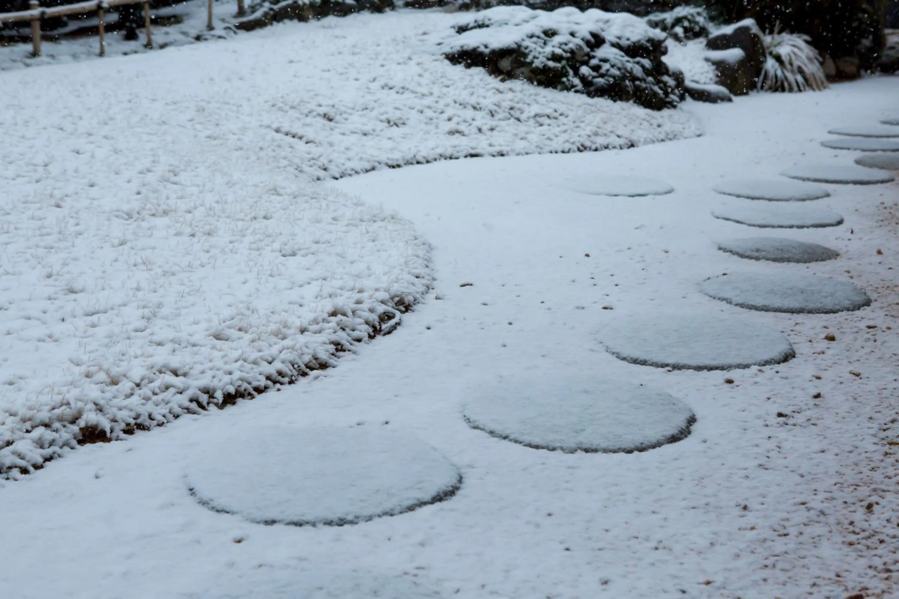 Winter in Sui Suwako