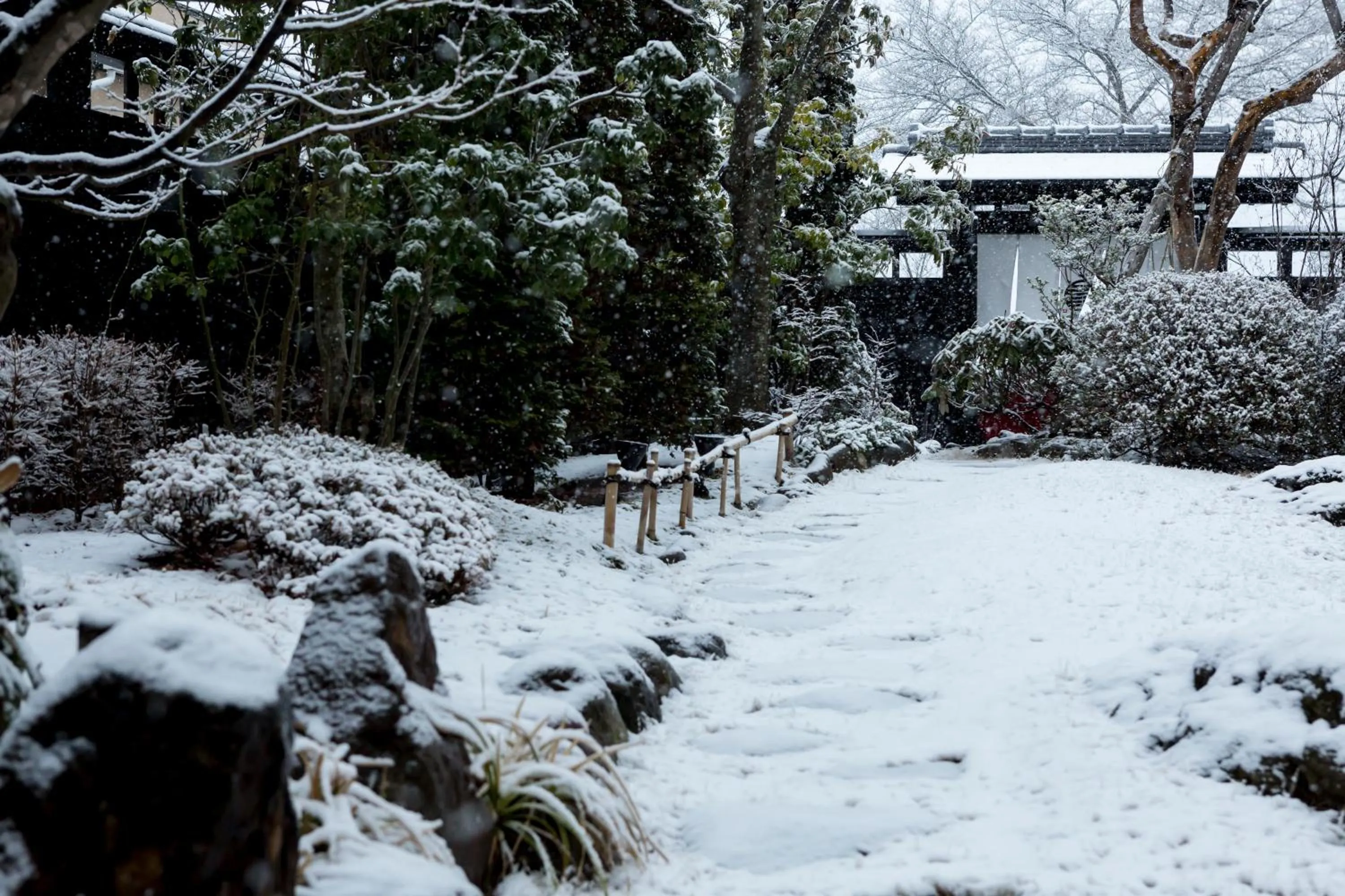 Winter in Sui Suwako