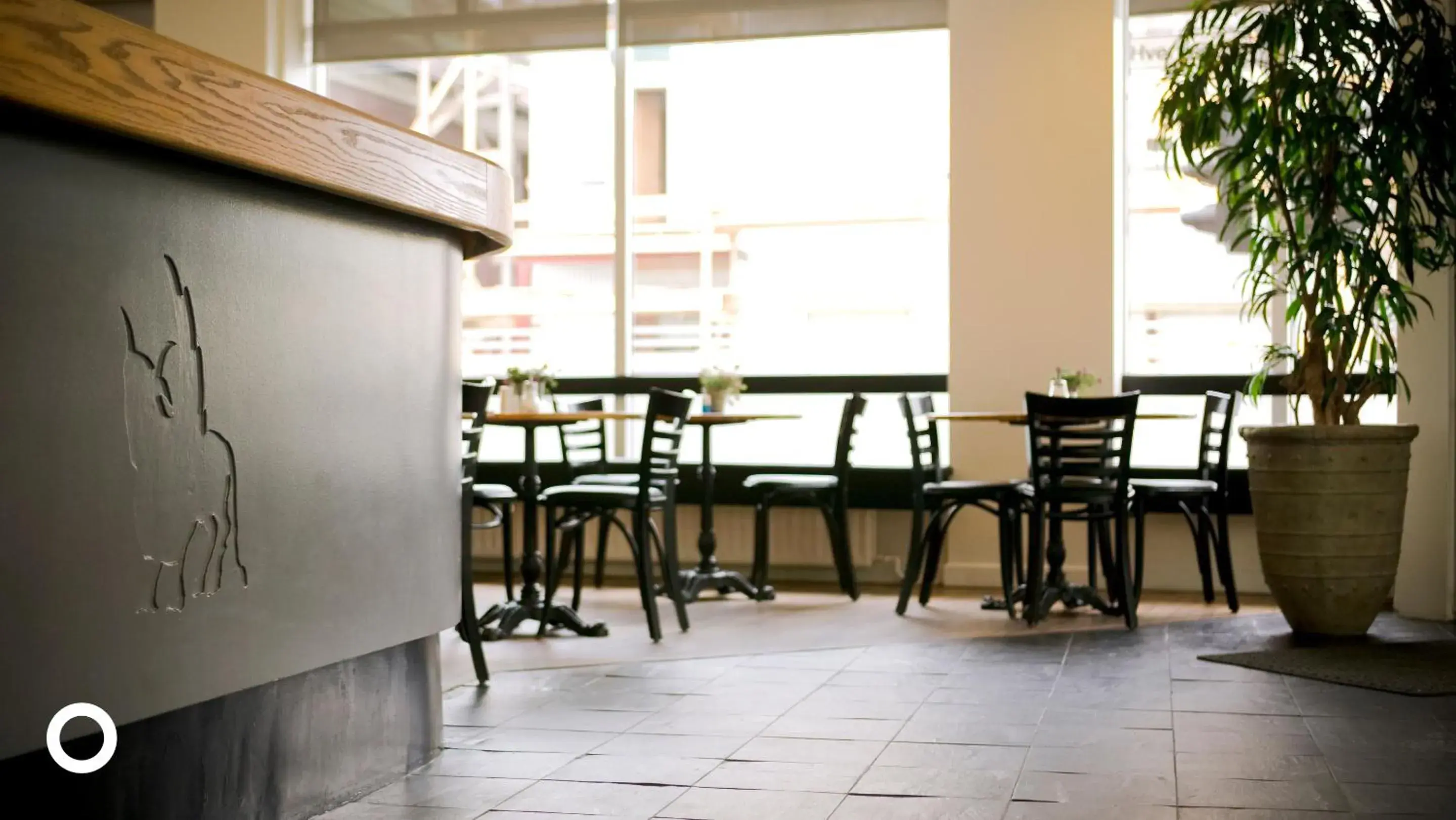 Lounge or bar in Center Hotels Klopp Lounge or bar in Center Hotels Klopp