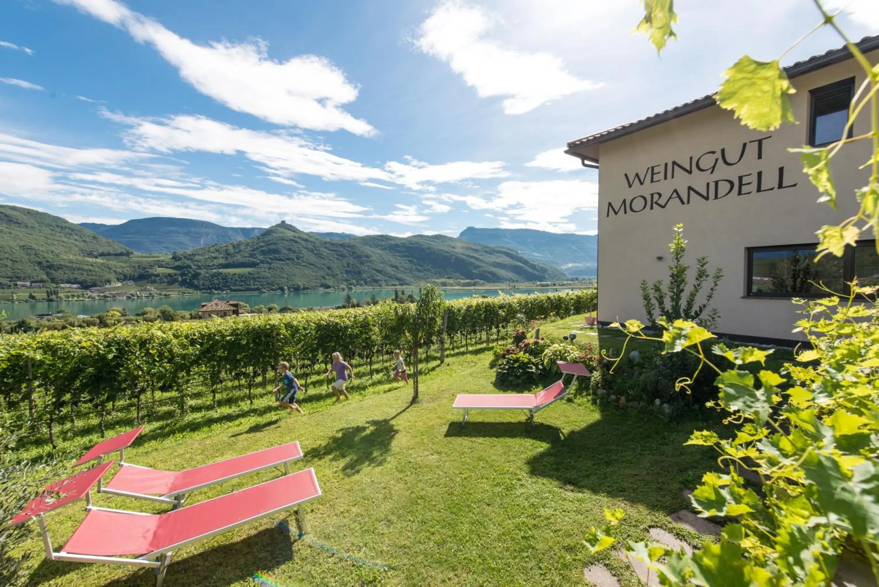 Weingut Morandell Weingut Morandell