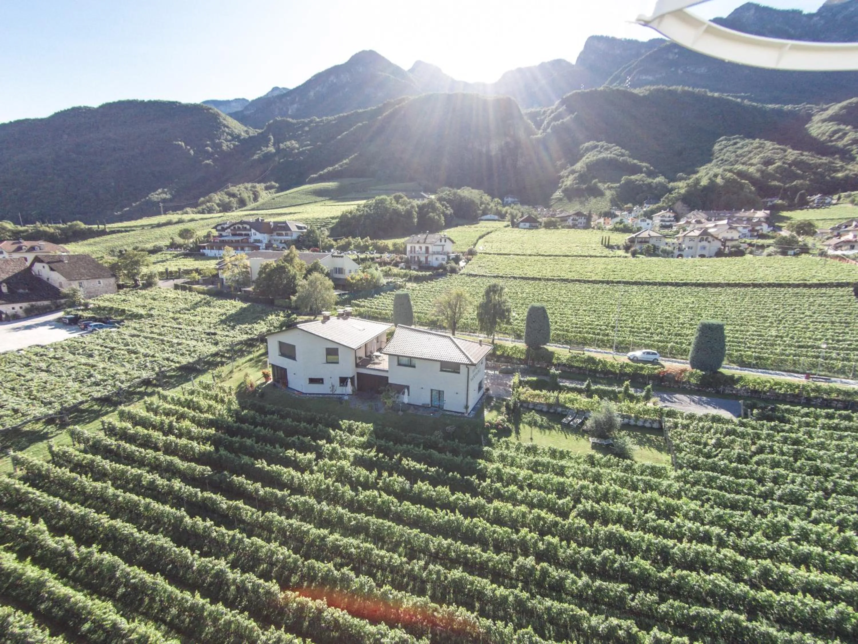 Weingut Morandell
