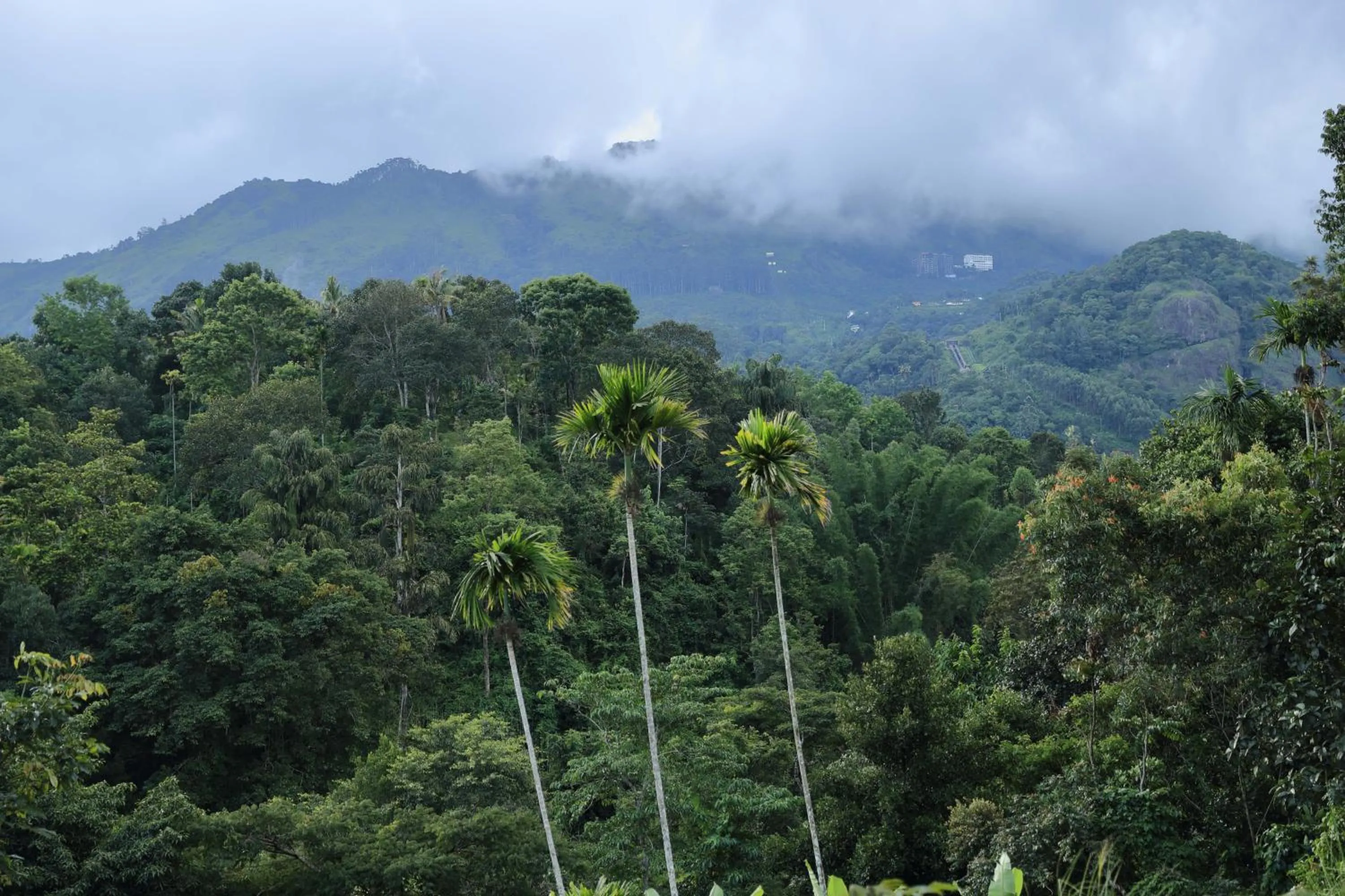 Property building in Ayursakthi Riverdale