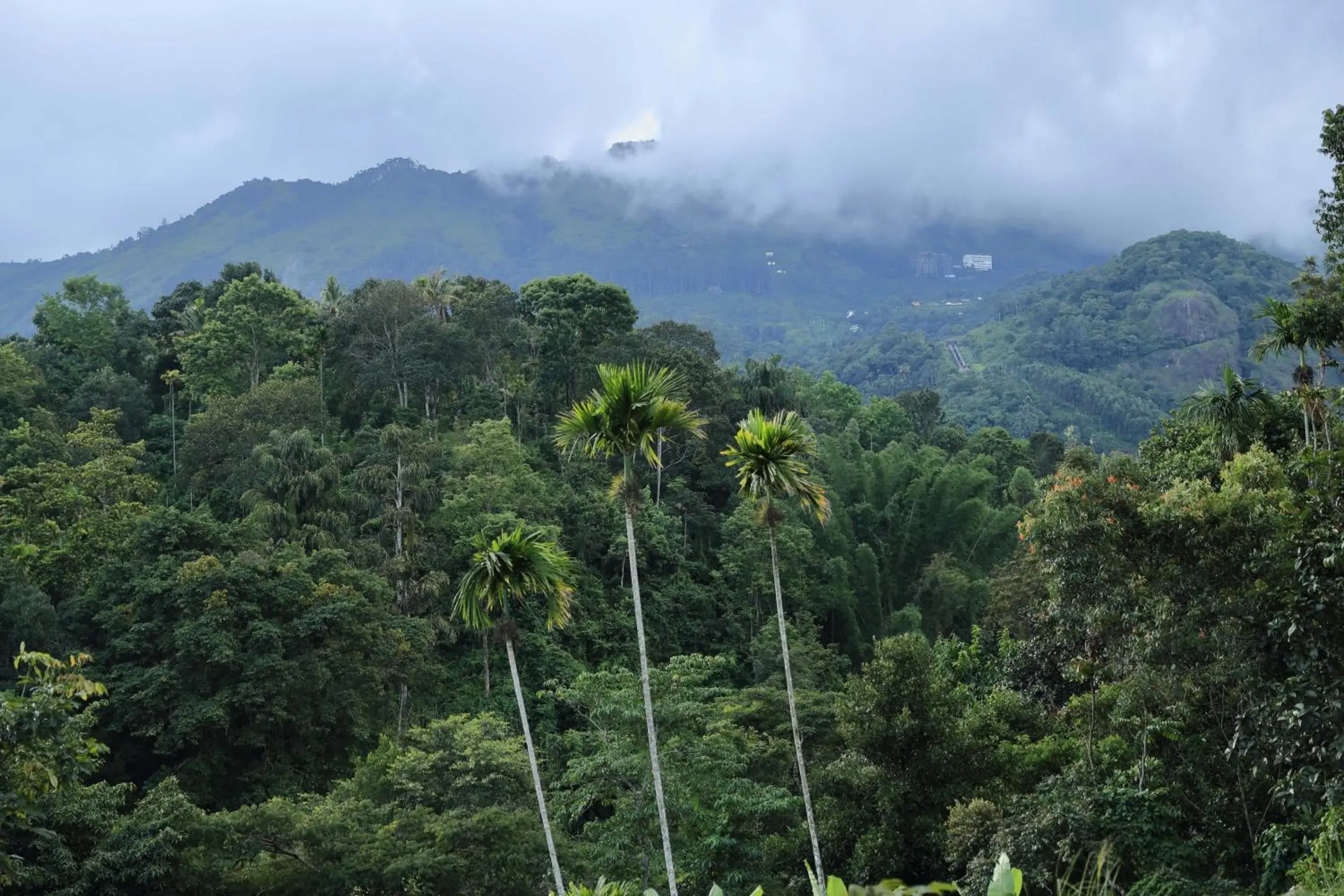 Property building in Ayursakthi Riverdale Property building in Ayursakthi Riverdale