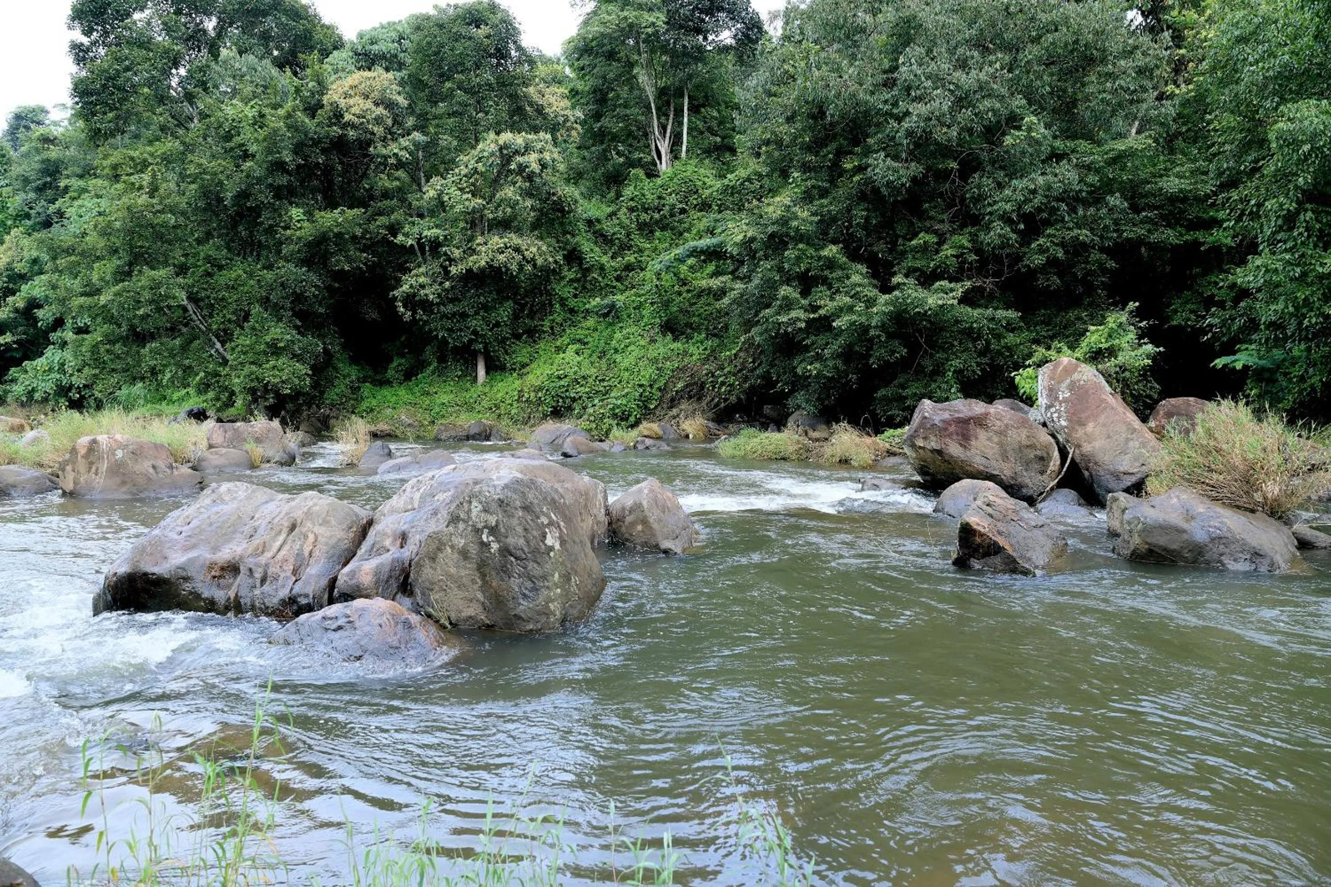 River view in Ayursakthi Riverdale