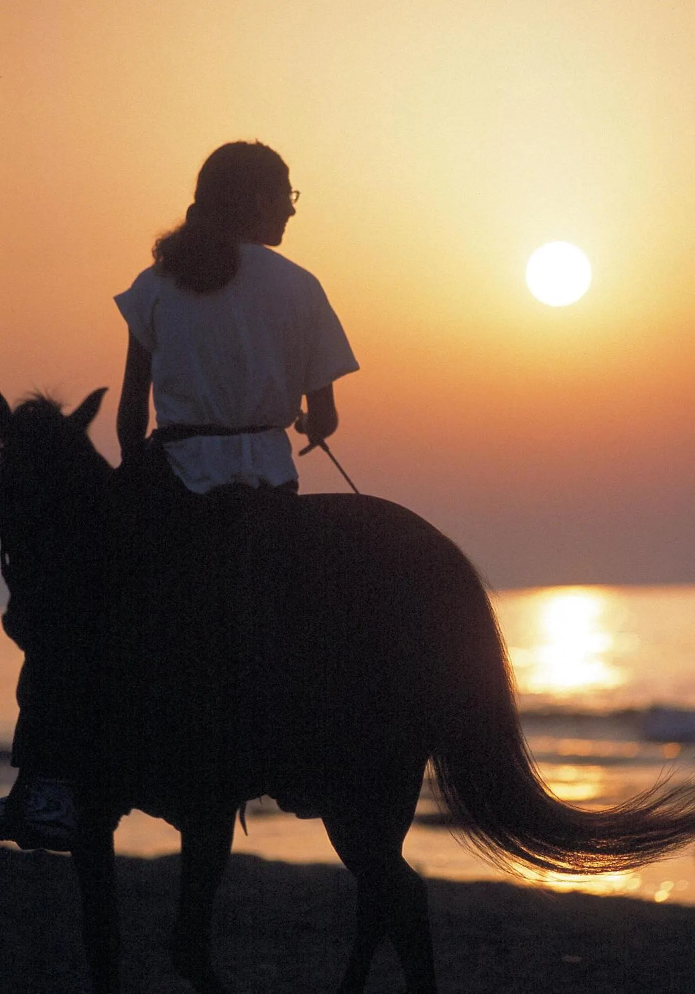 Animals in Rethymno Palace