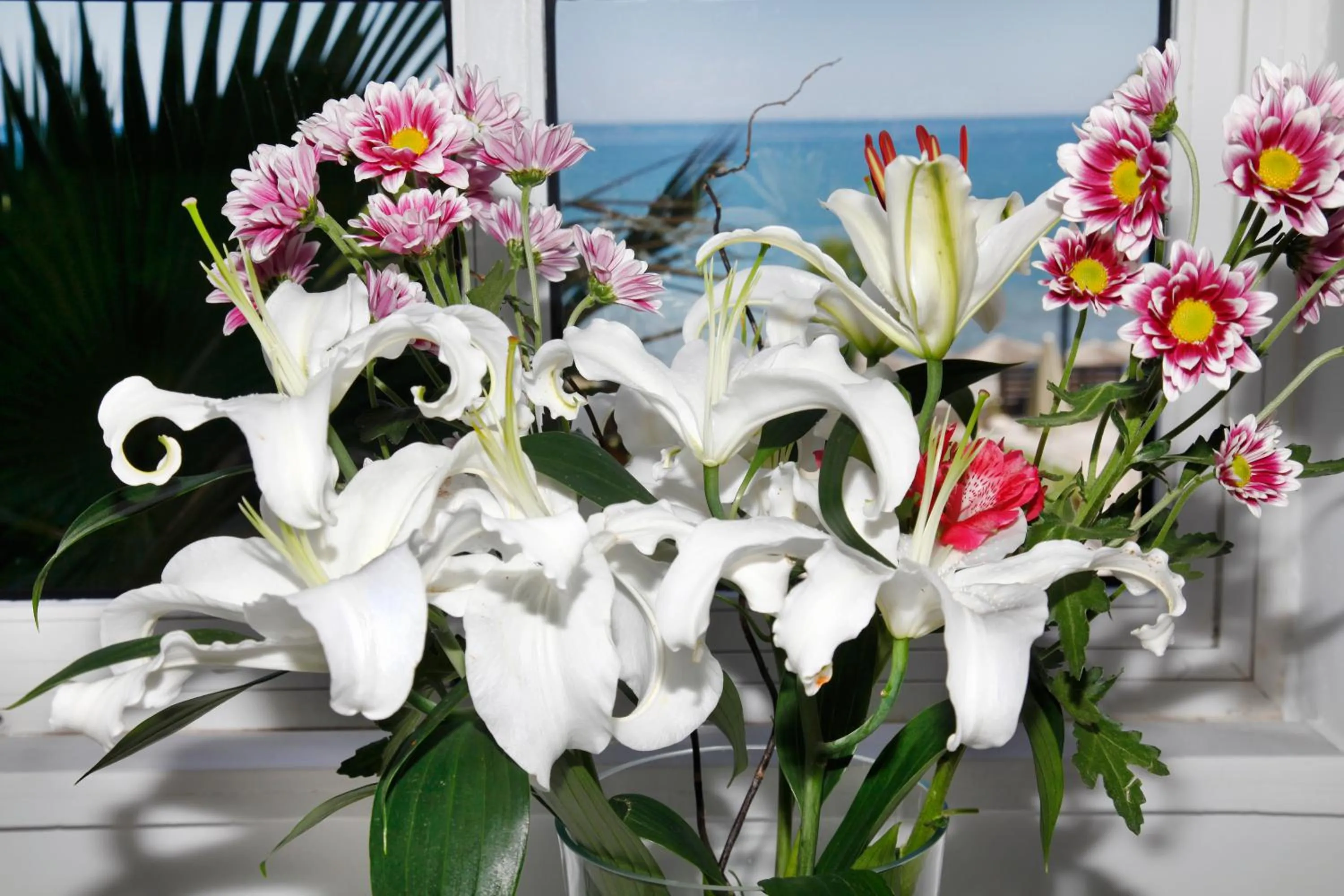 Other in Rethymno Palace