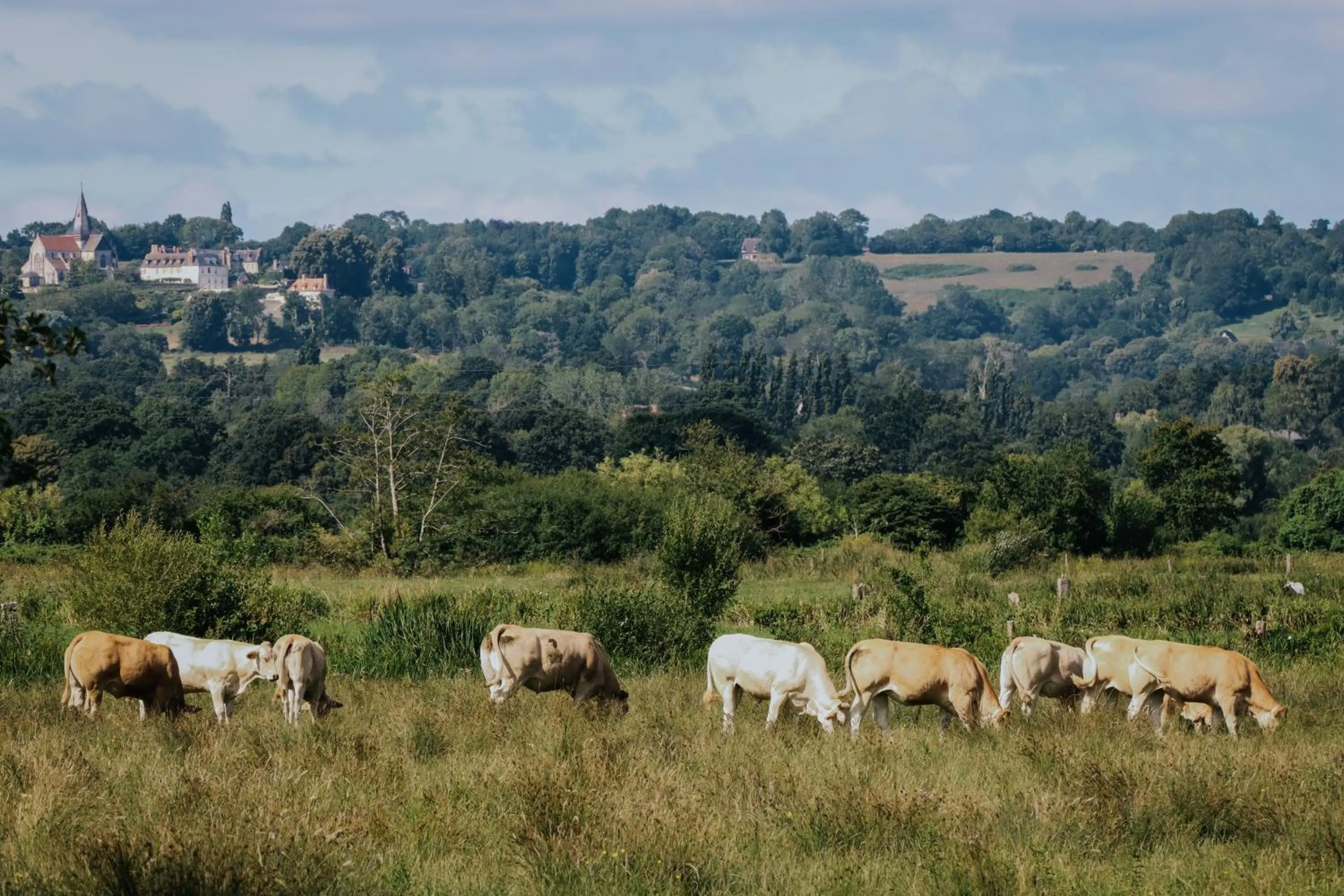 Garden in Hôtel Les Jardins de Deauville