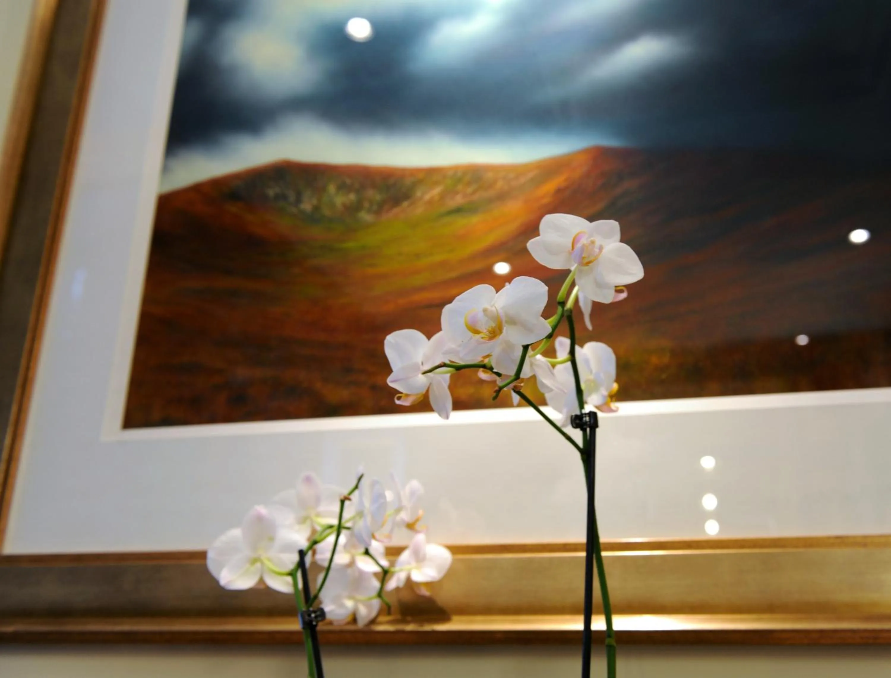 Decorative detail in Wolfscastle Country Hotel