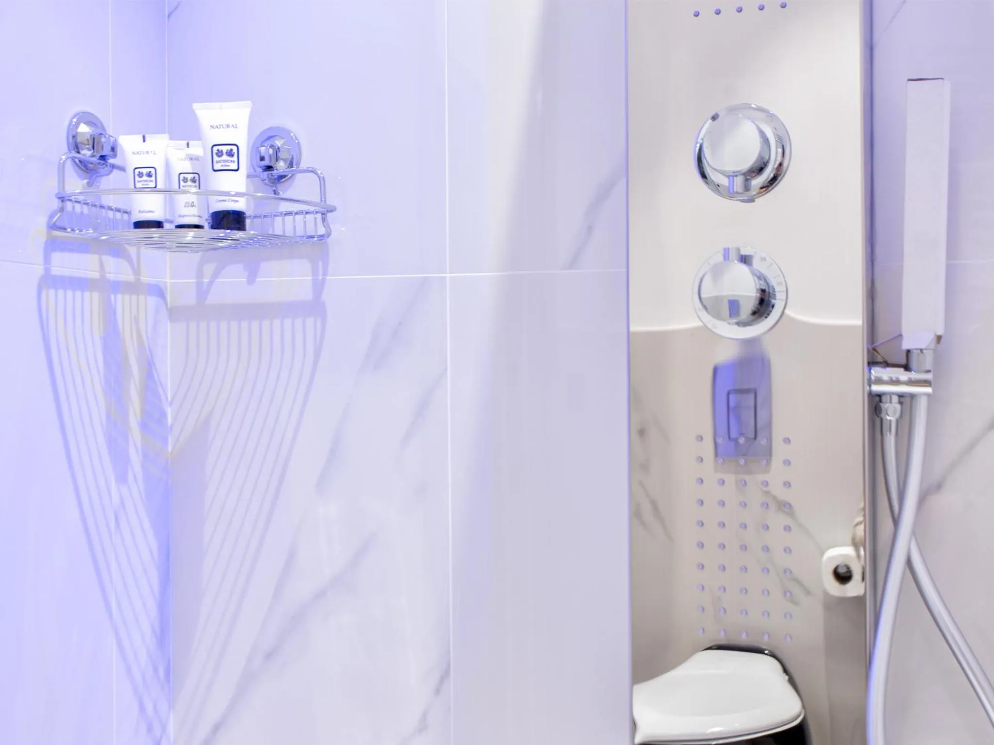 Shower in Queen Palace Suites