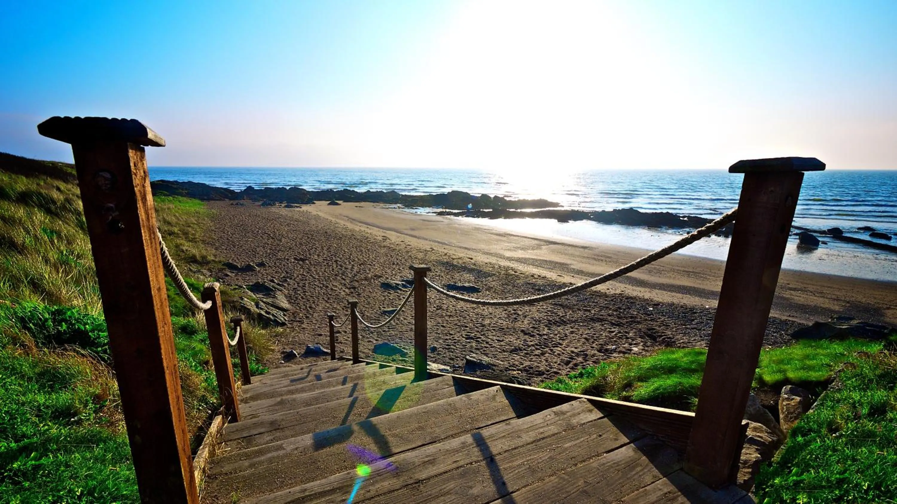 Natural landscape in Shoreline Hotel
